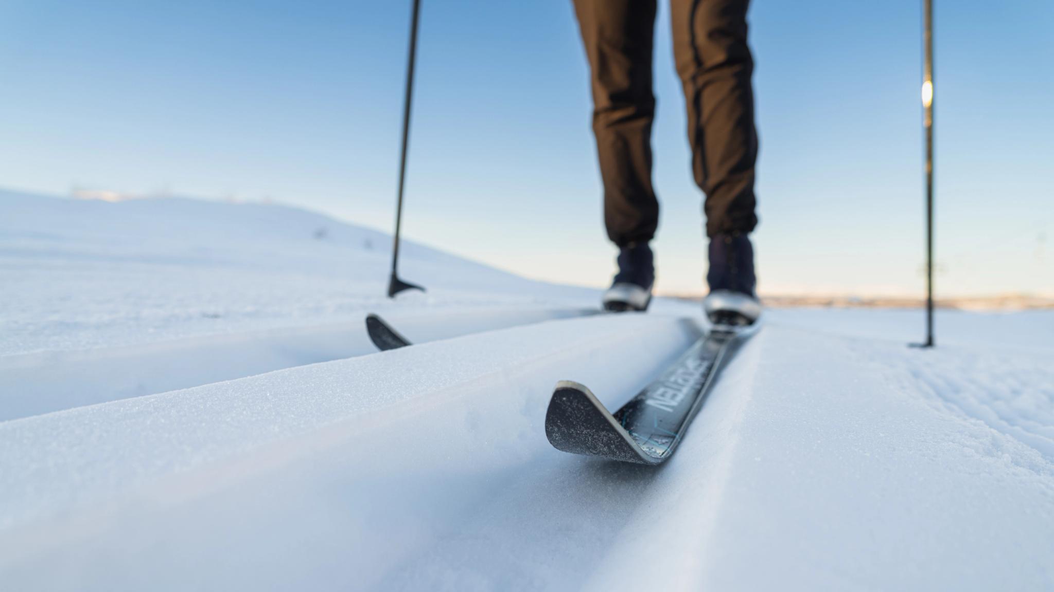 Close-up of a cross country ski in a track