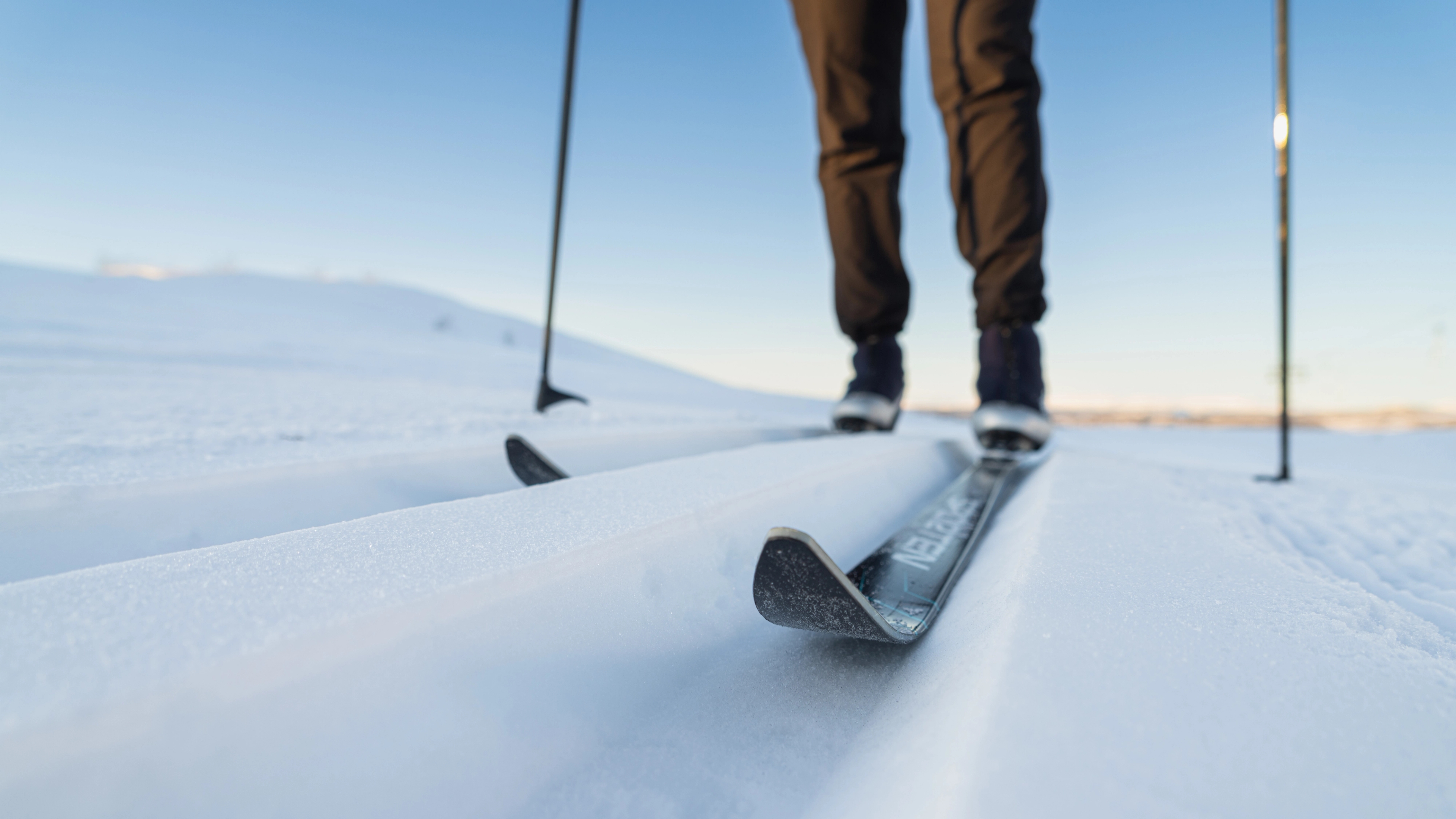 Close-up of a cross country ski in a track