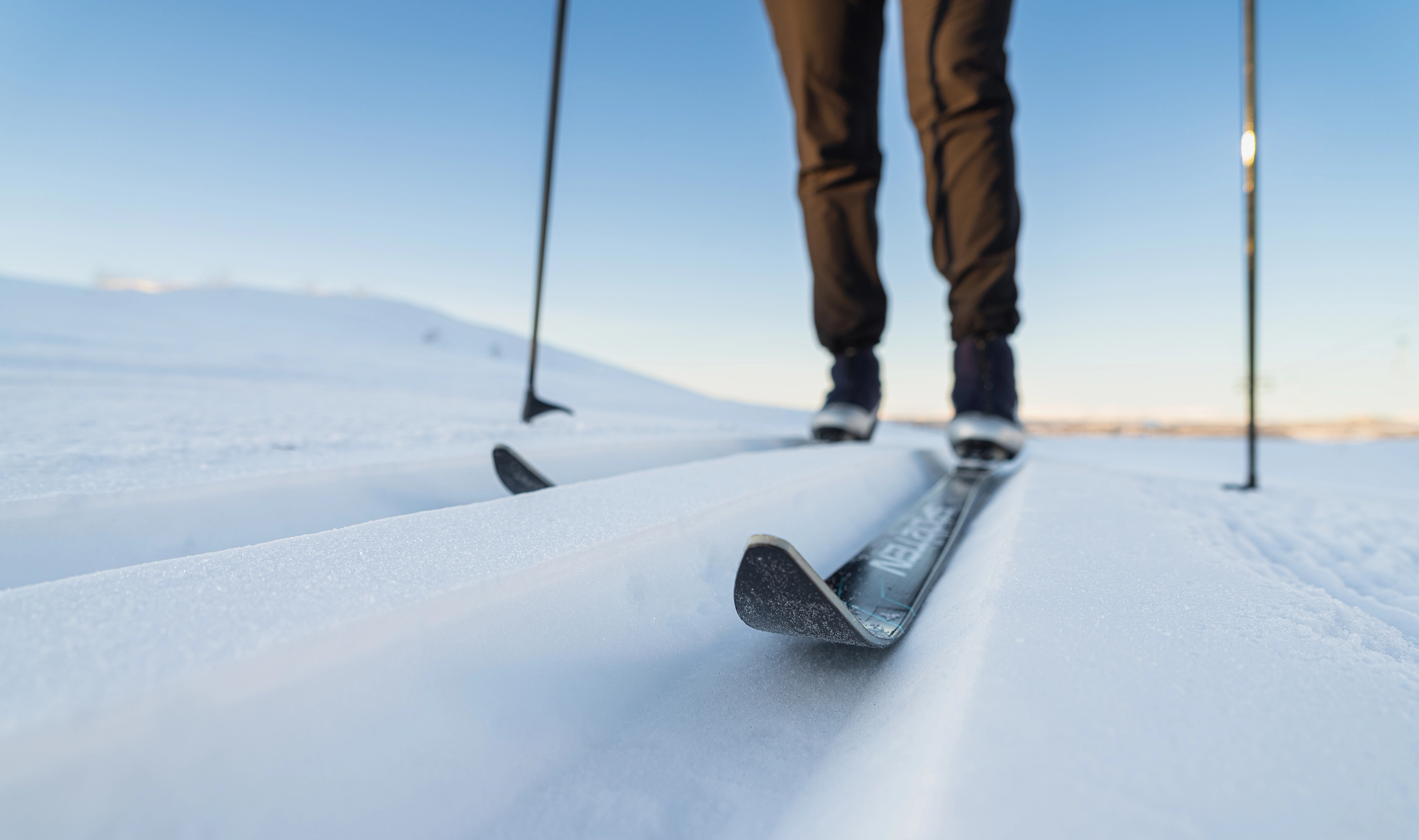 Nærbilde av langrennski i sporet