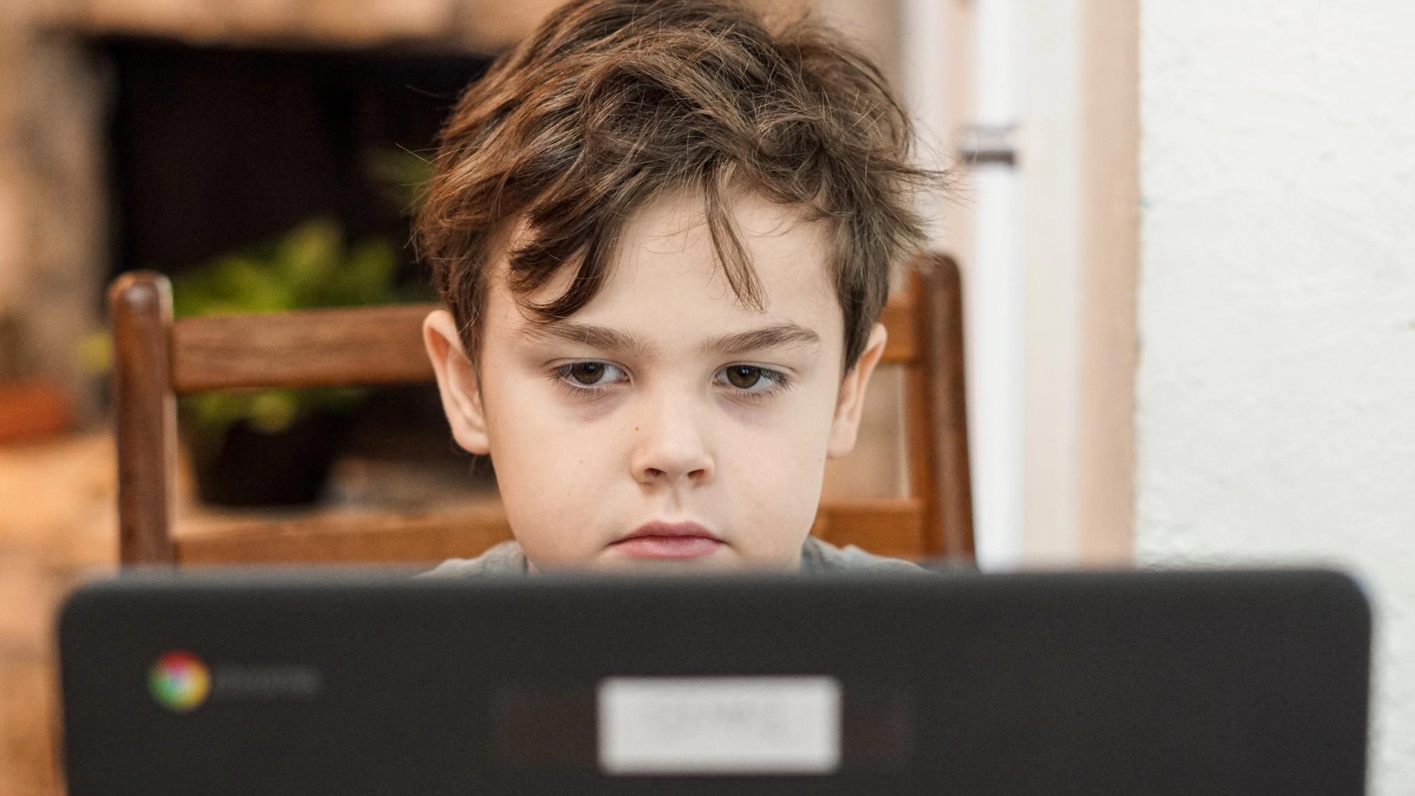 A boy sitting in front of the screen on a computer
