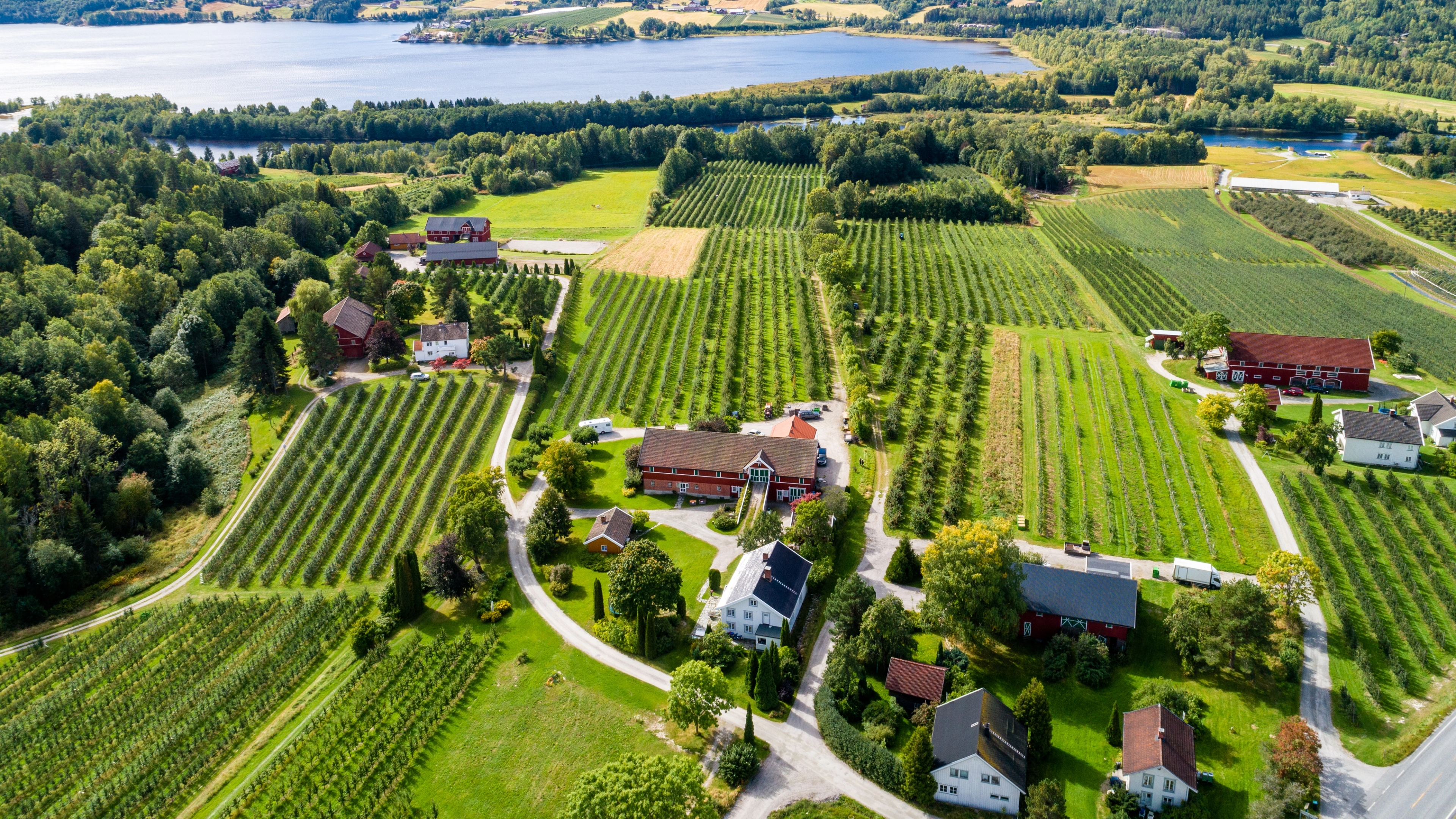 An aerial image of the fruit village Gvarv in Telemark, Eastern Norway
