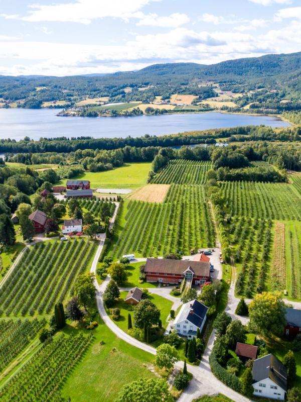 An aerial image of the fruit village Gvarv in Telemark, Eastern Norway