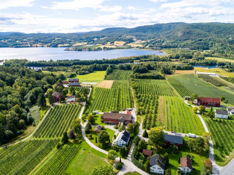 An aerial image of the fruit village Gvarv in Telemark, Eastern Norway