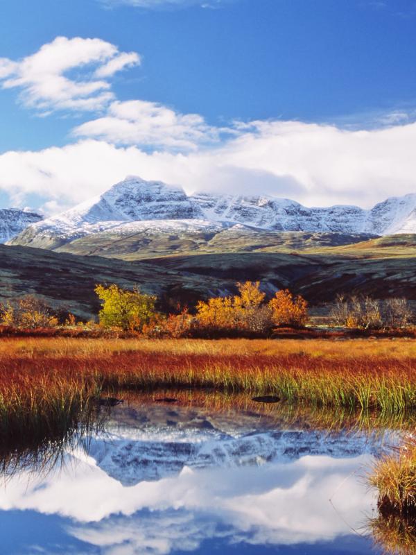 Autumn colours and snow-capped mountains