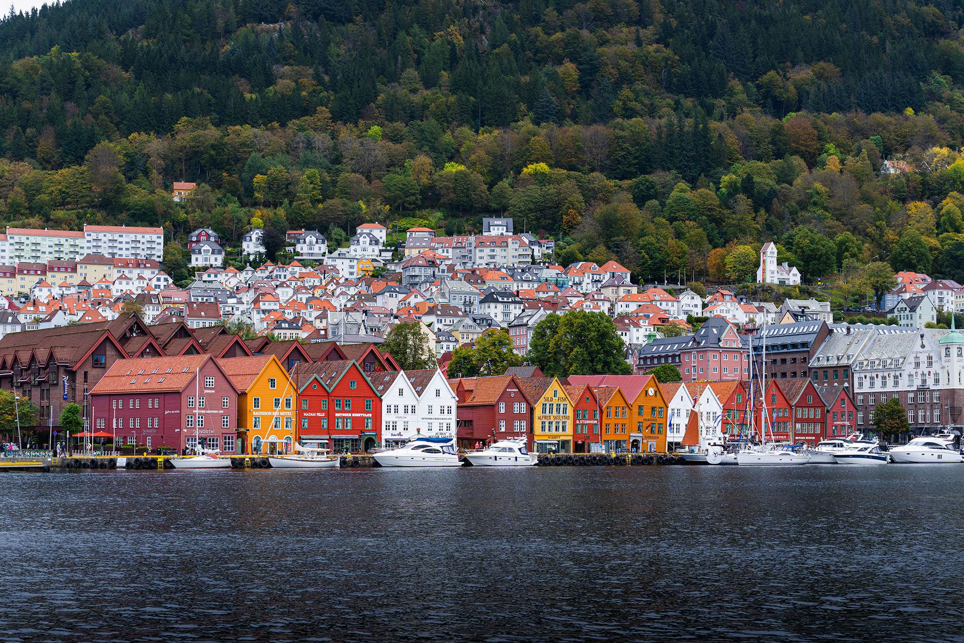 Bergen by the harbour