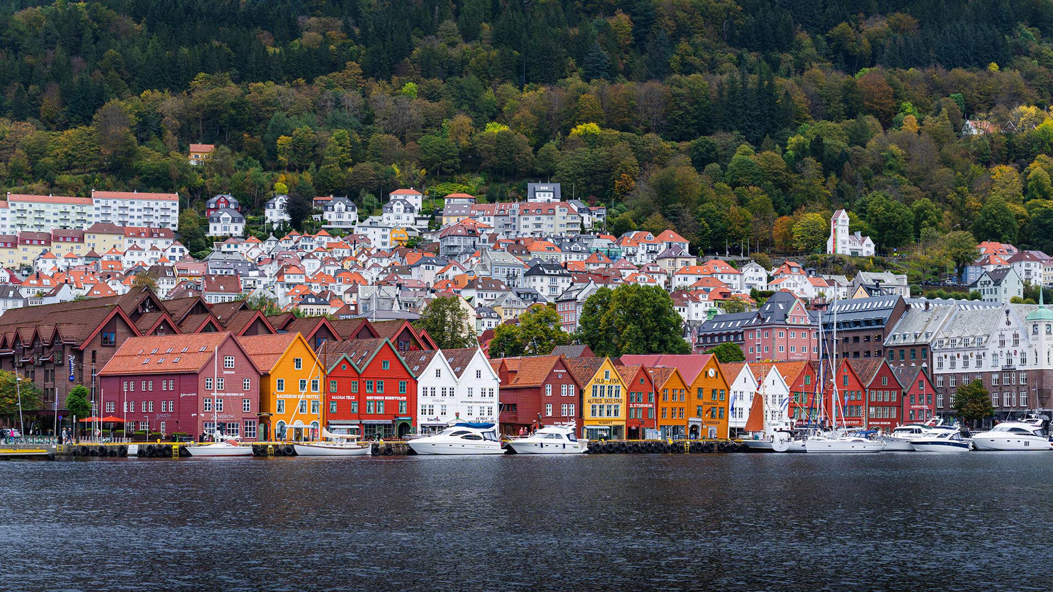 Bergen by the harbour