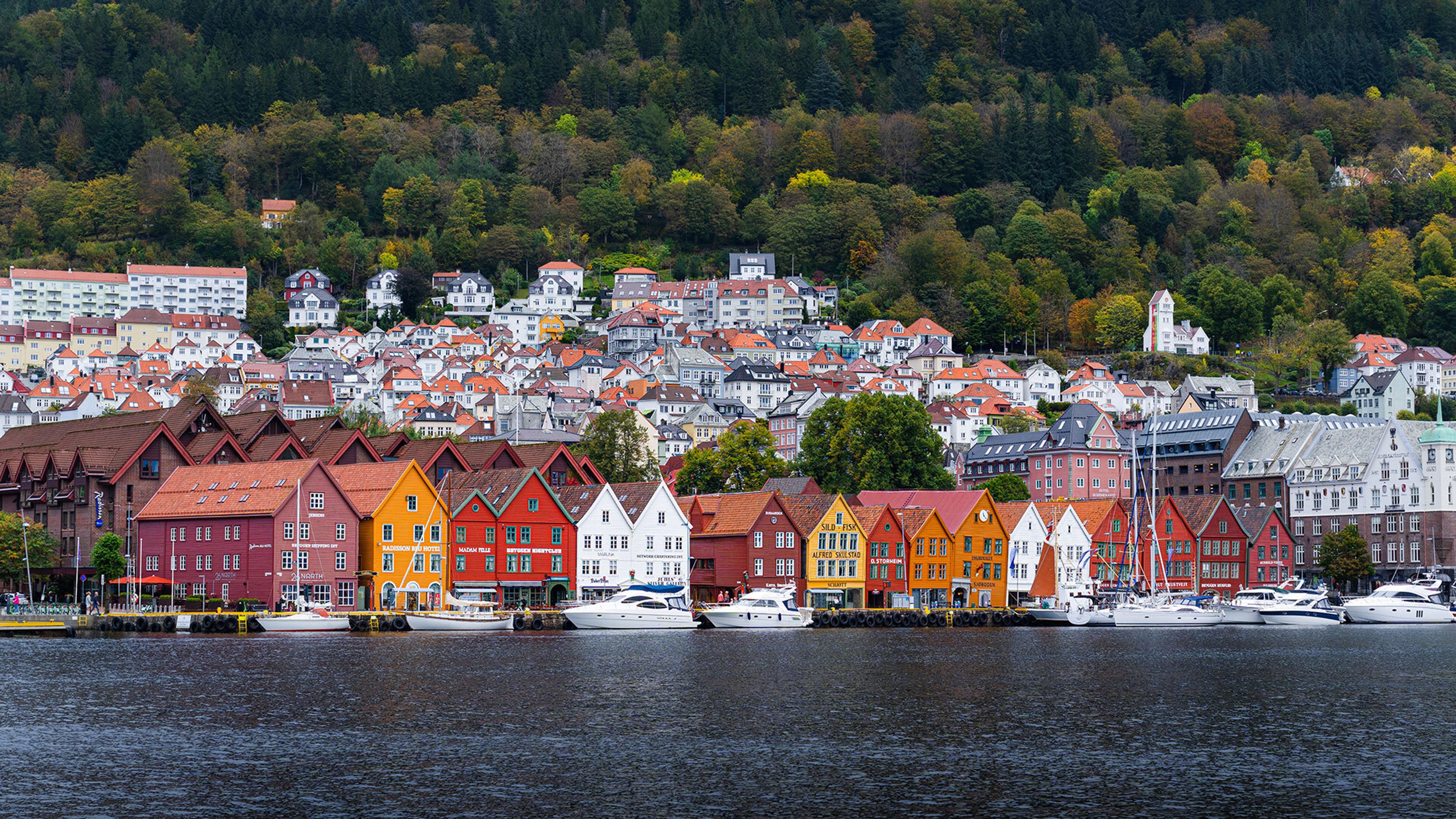 Bergen by the harbour