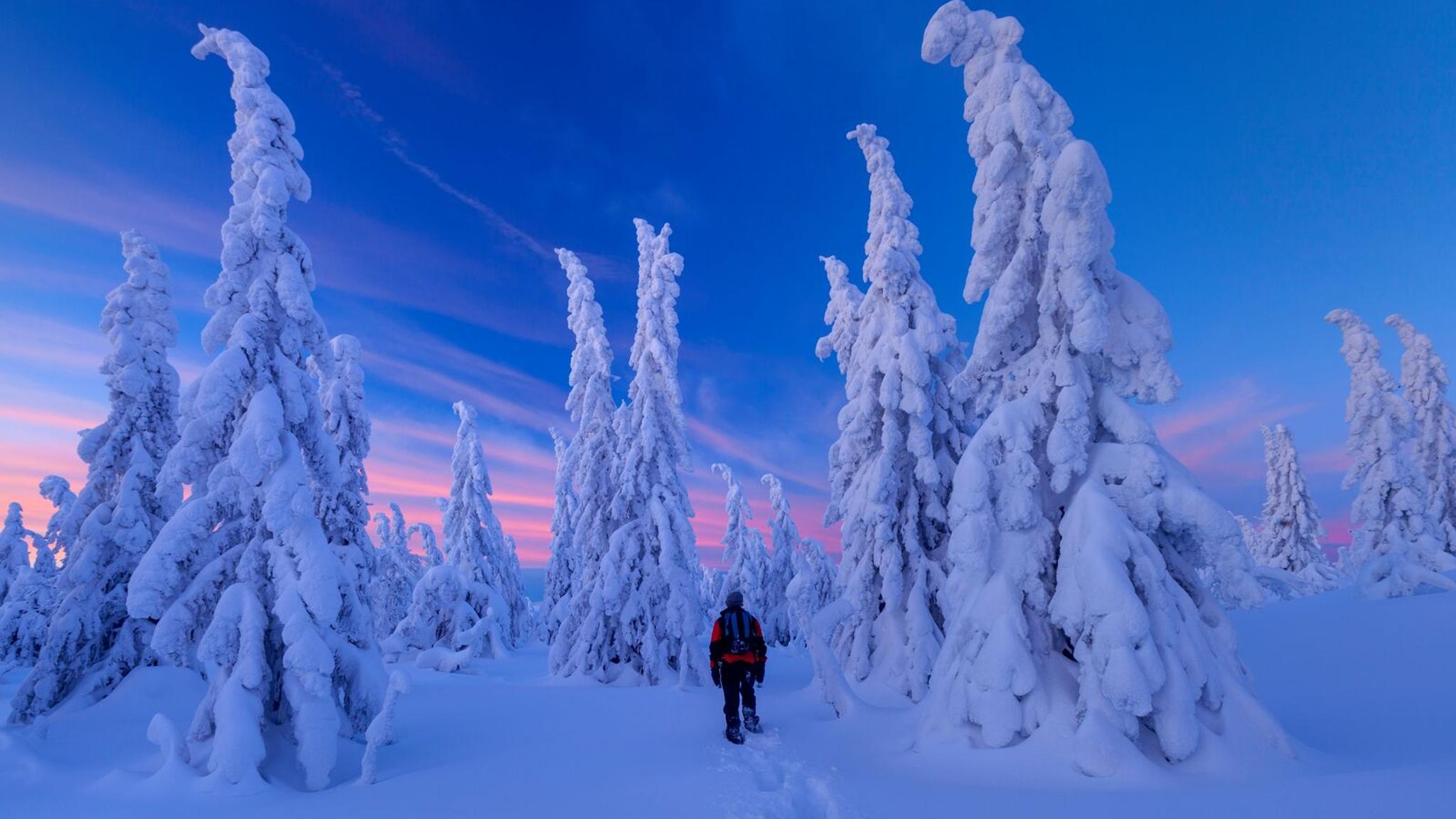 Person walking into snow covered landscape in Jønnbuflåtin Lifjell, Eastern Norway