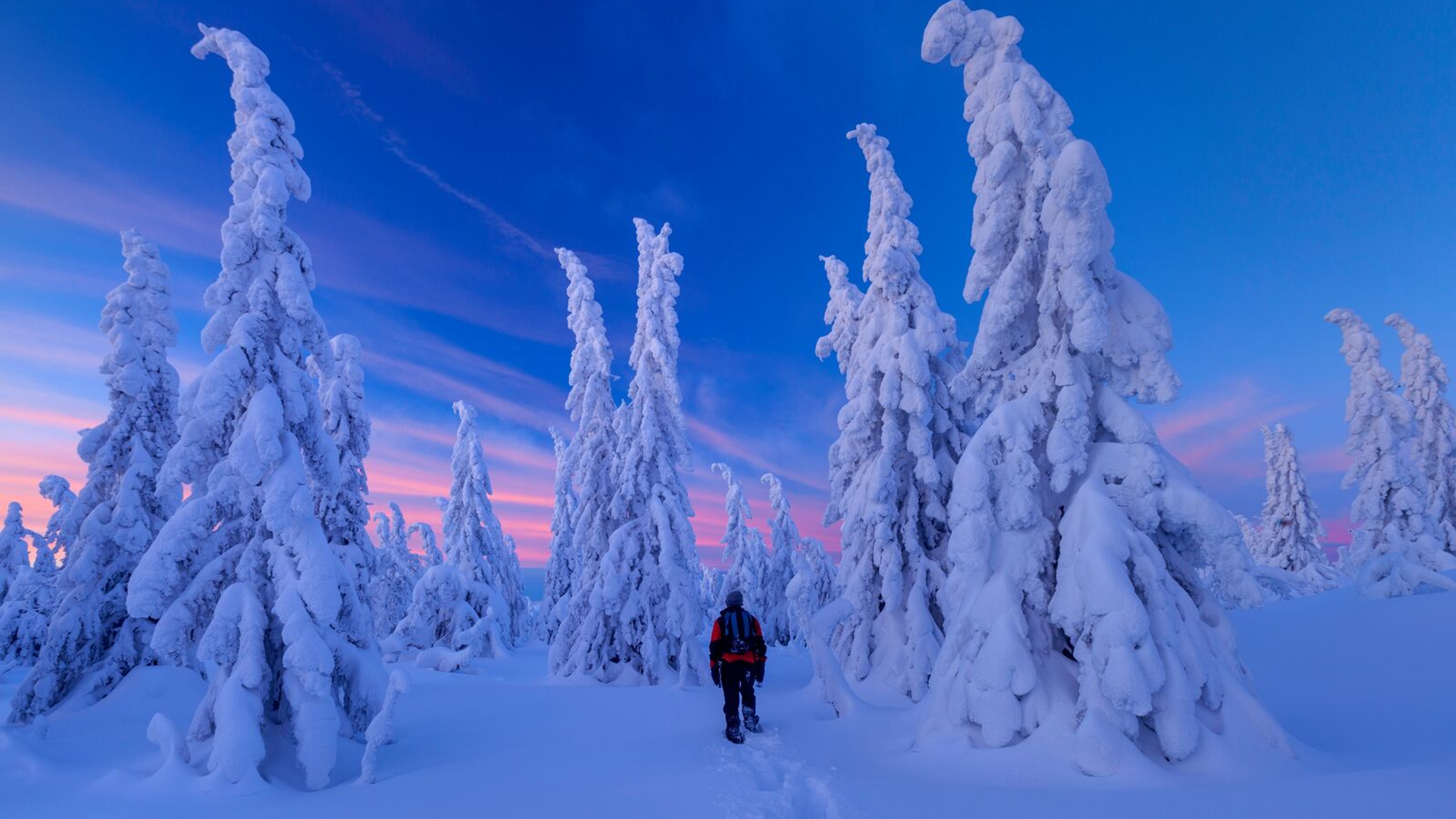 Person walking into snow covered landscape in Jønnbuflåtin Lifjell, Eastern Norway