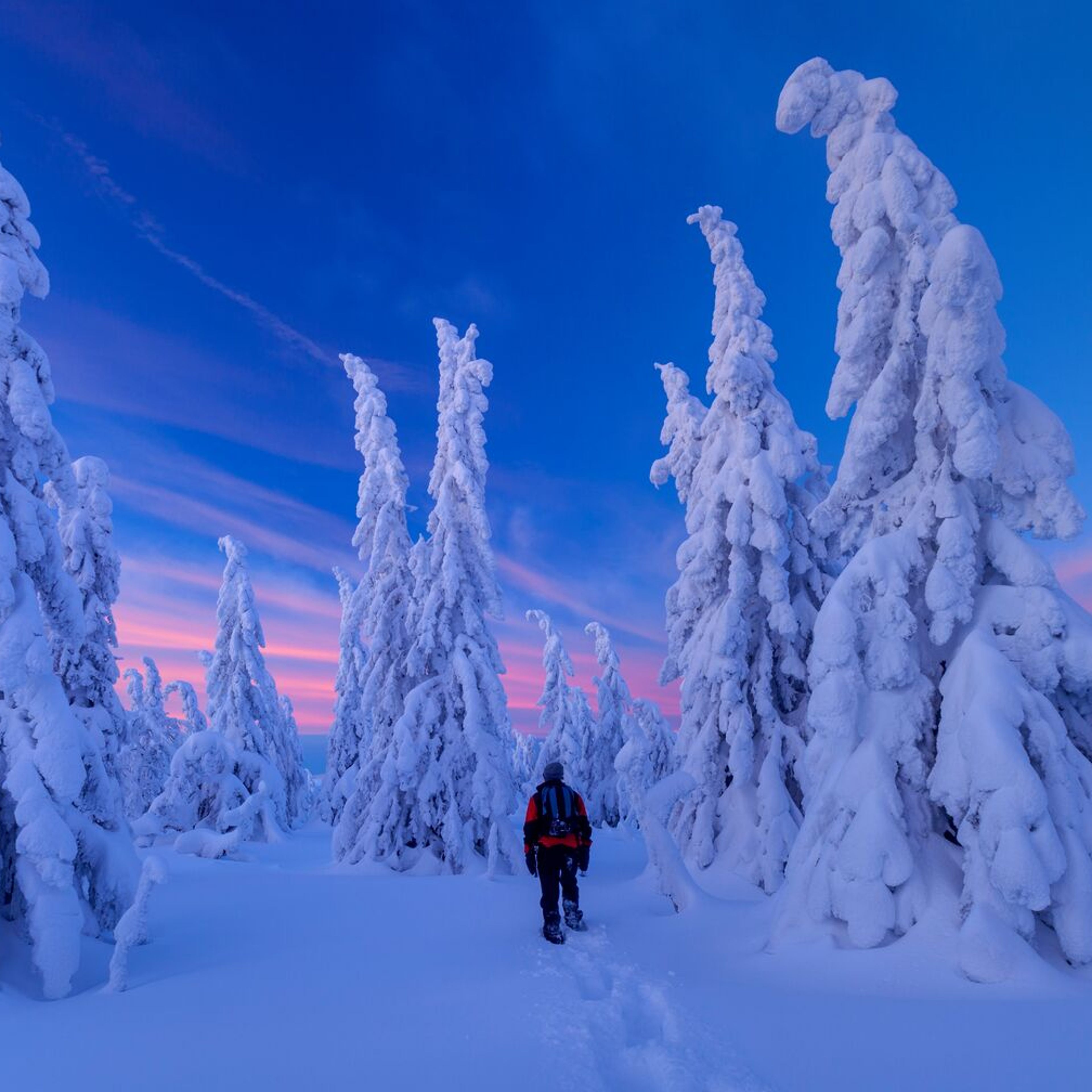 Person walking into snow covered landscape in Jønnbuflåtin Lifjell, Eastern Norway