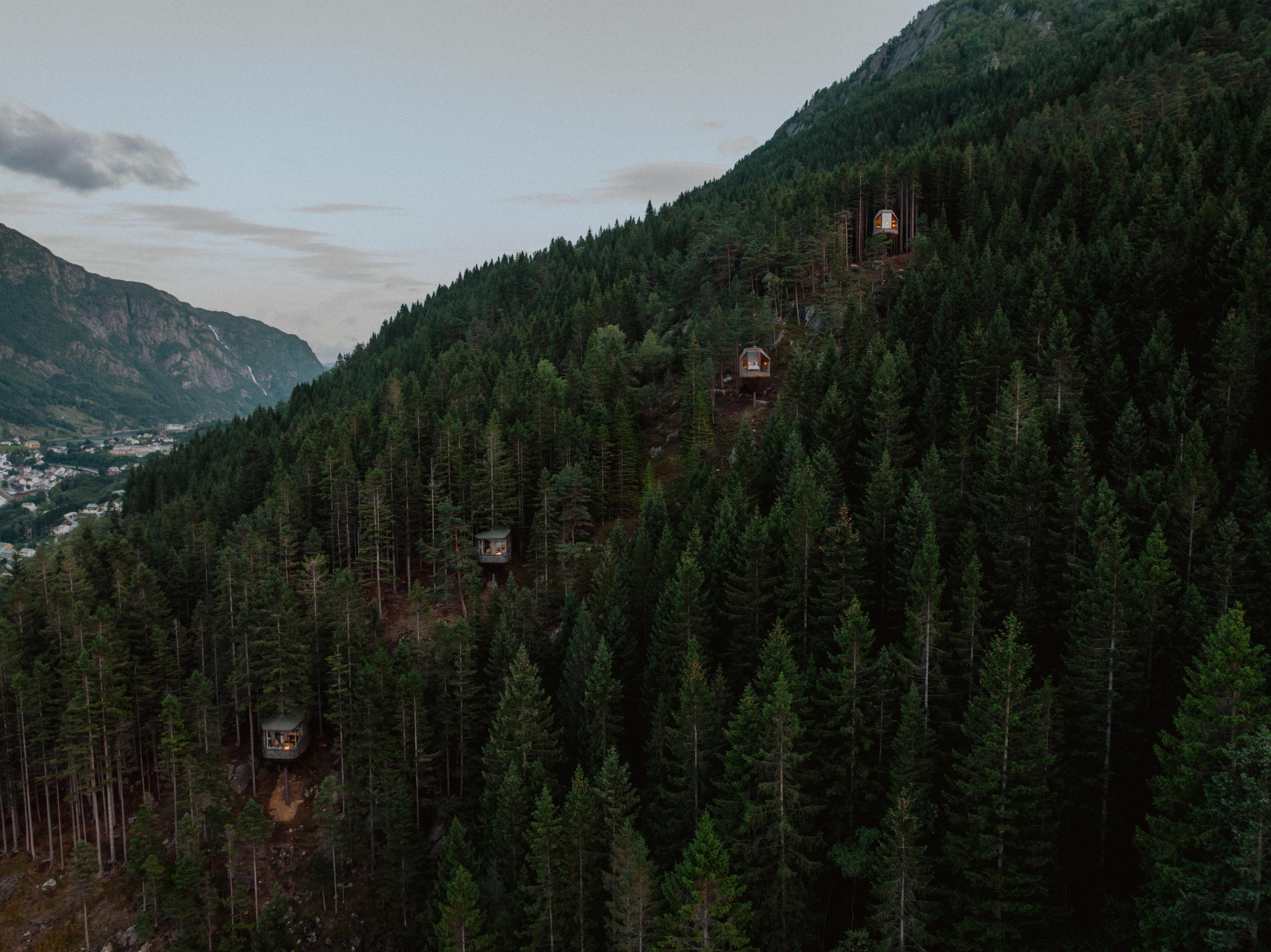 Trehouses along a mountainside