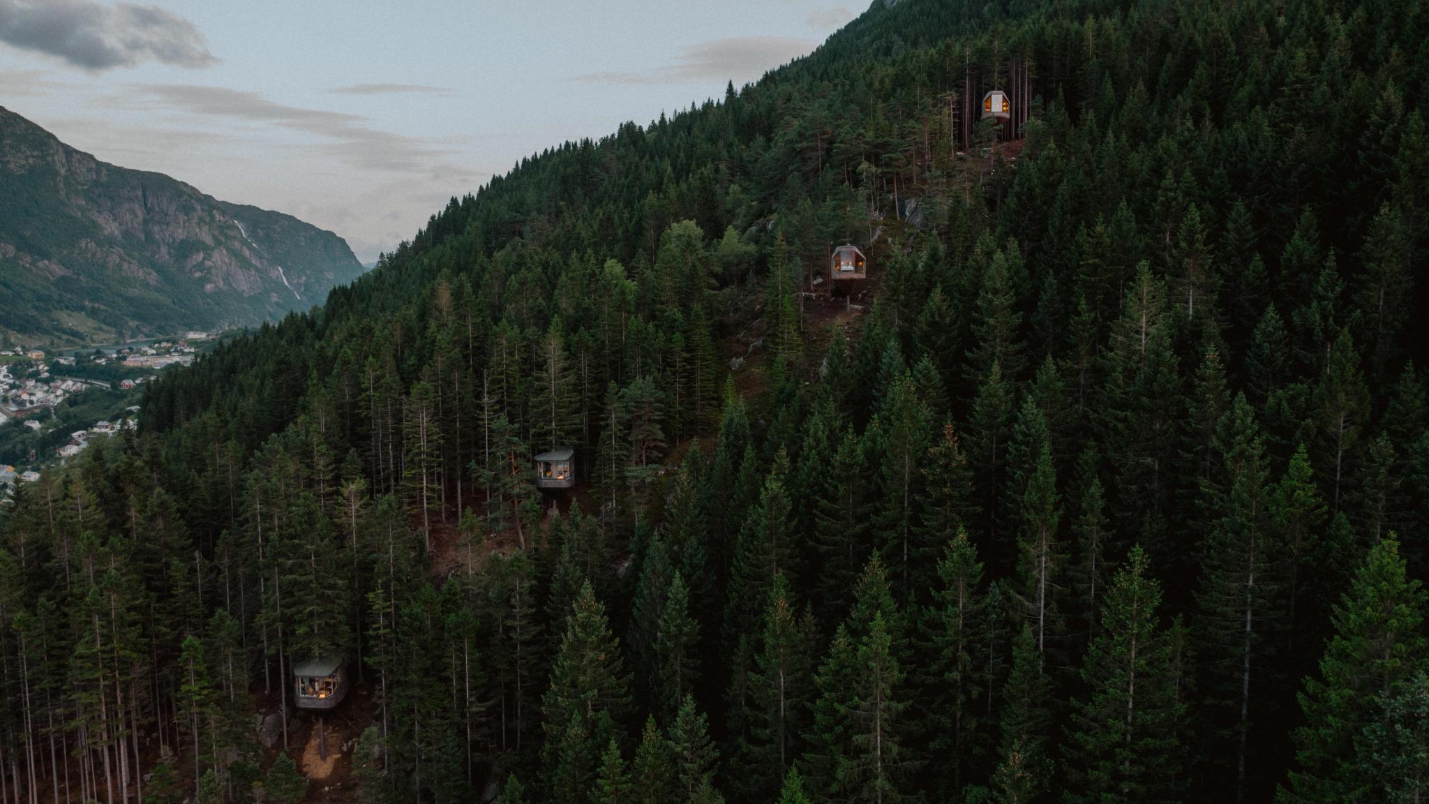 Trehouses along a mountainside