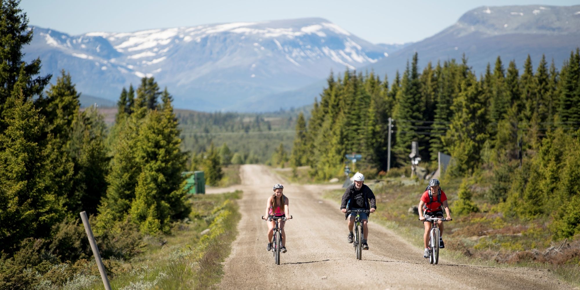Tre personer cykler på Mjølkevegen i Valdres, Norge