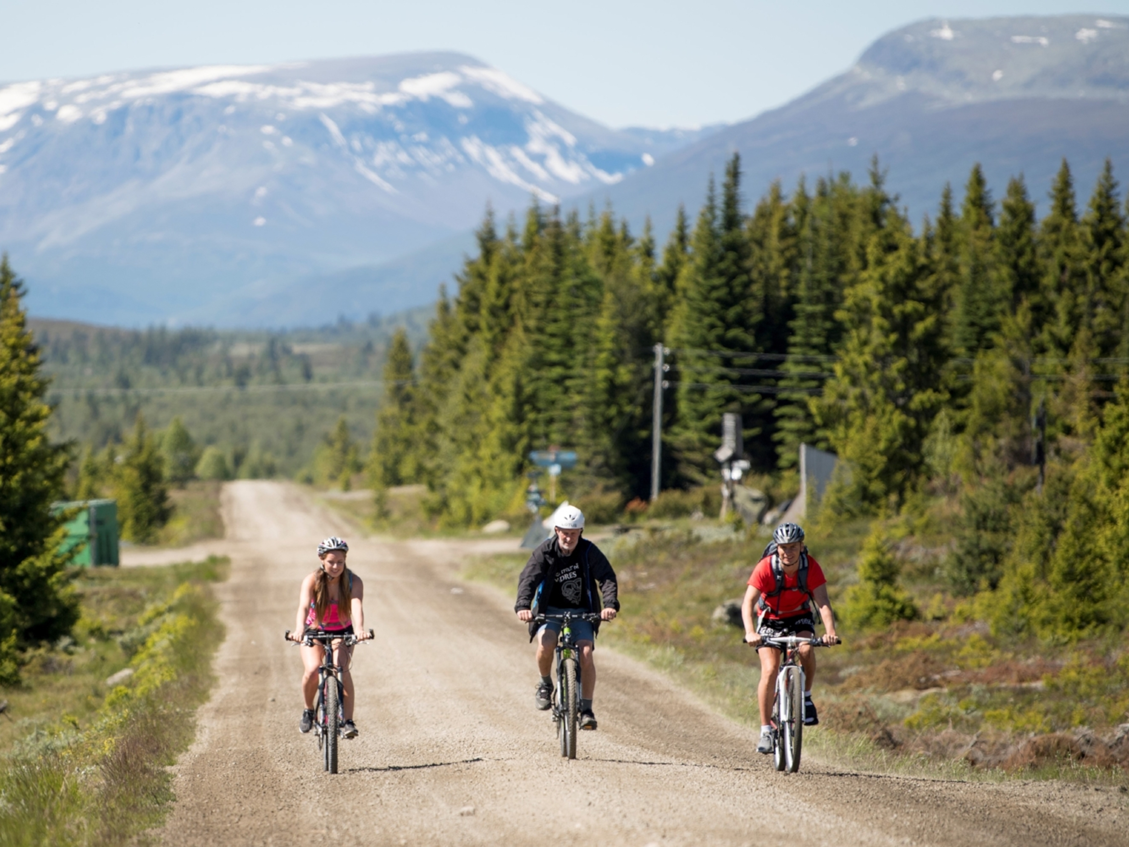 Tre personer cyklar på Mjølkevegen i Valdres, Østlandet