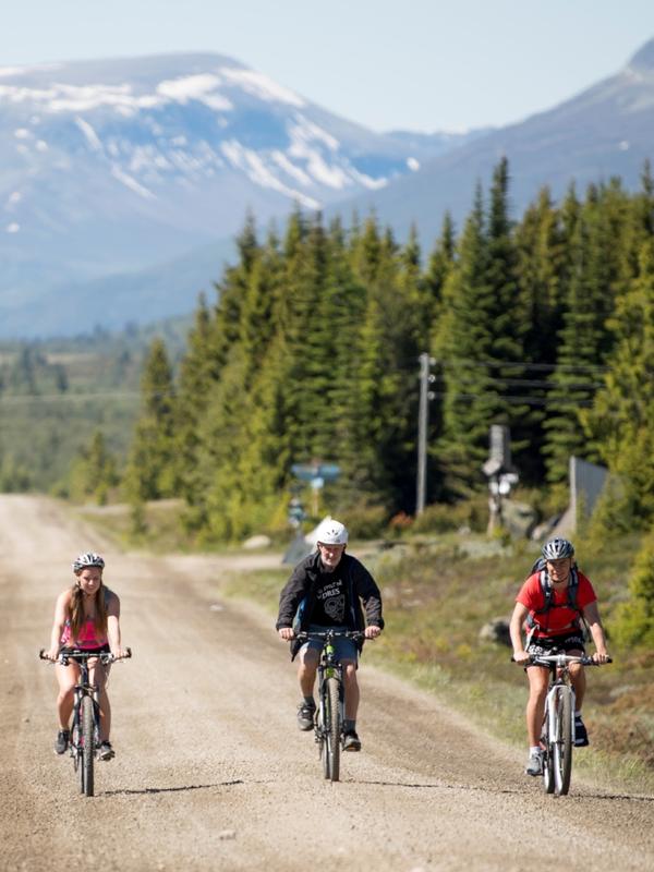 Tre personer cykler på Mjølkevegen i Valdres, Norge