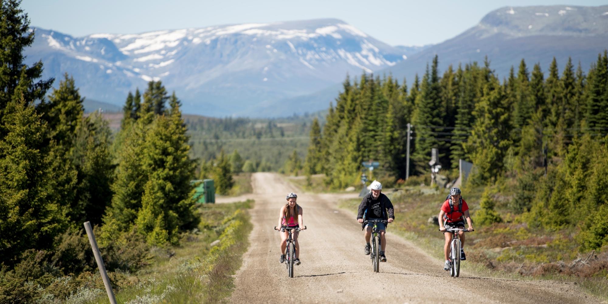 Tre personer cyklar på Mjølkevegen i Valdres, Østlandet