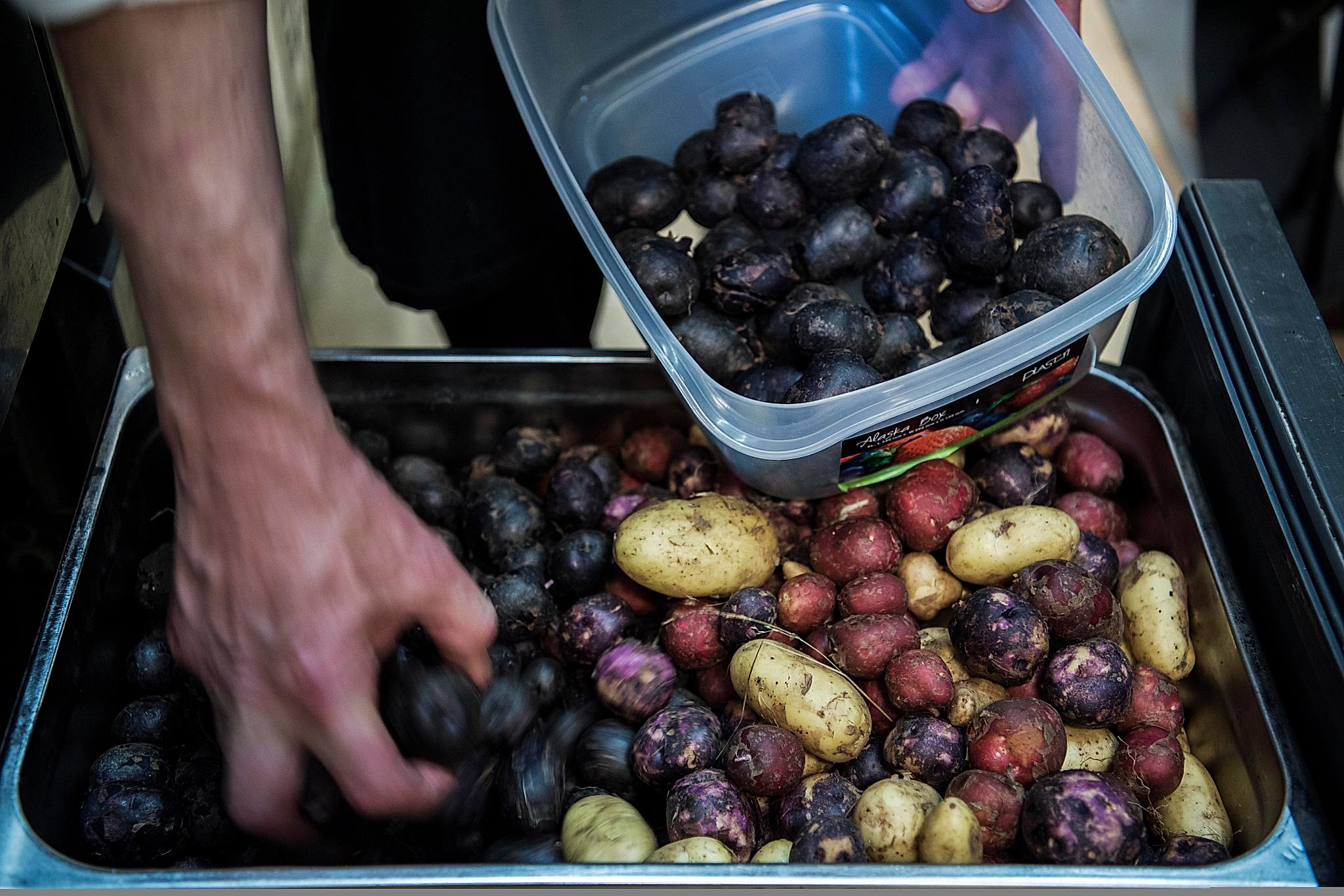 A chef picking potatoes out of a casserole