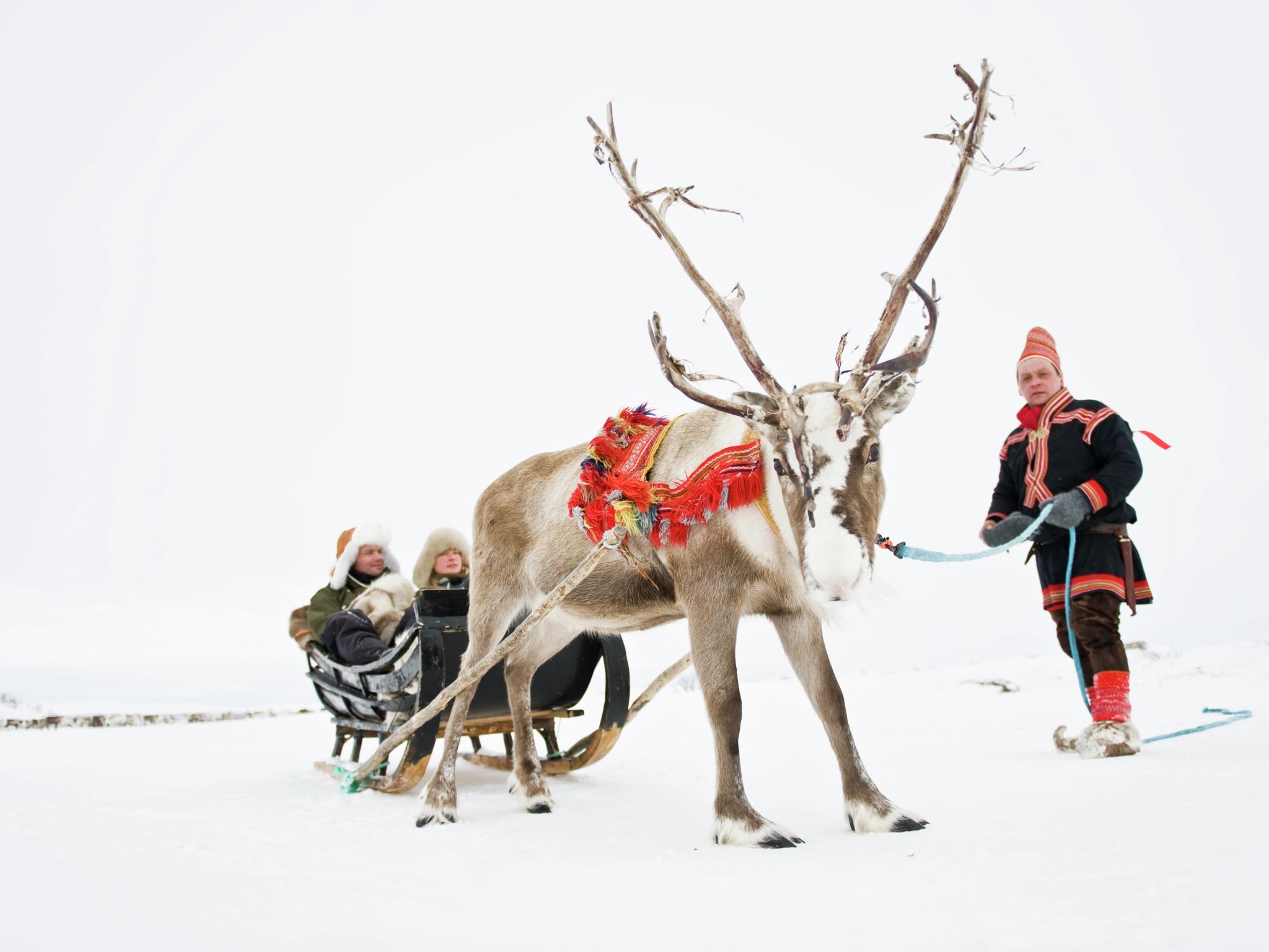 Couple driving reindeer sledge, Finnmark