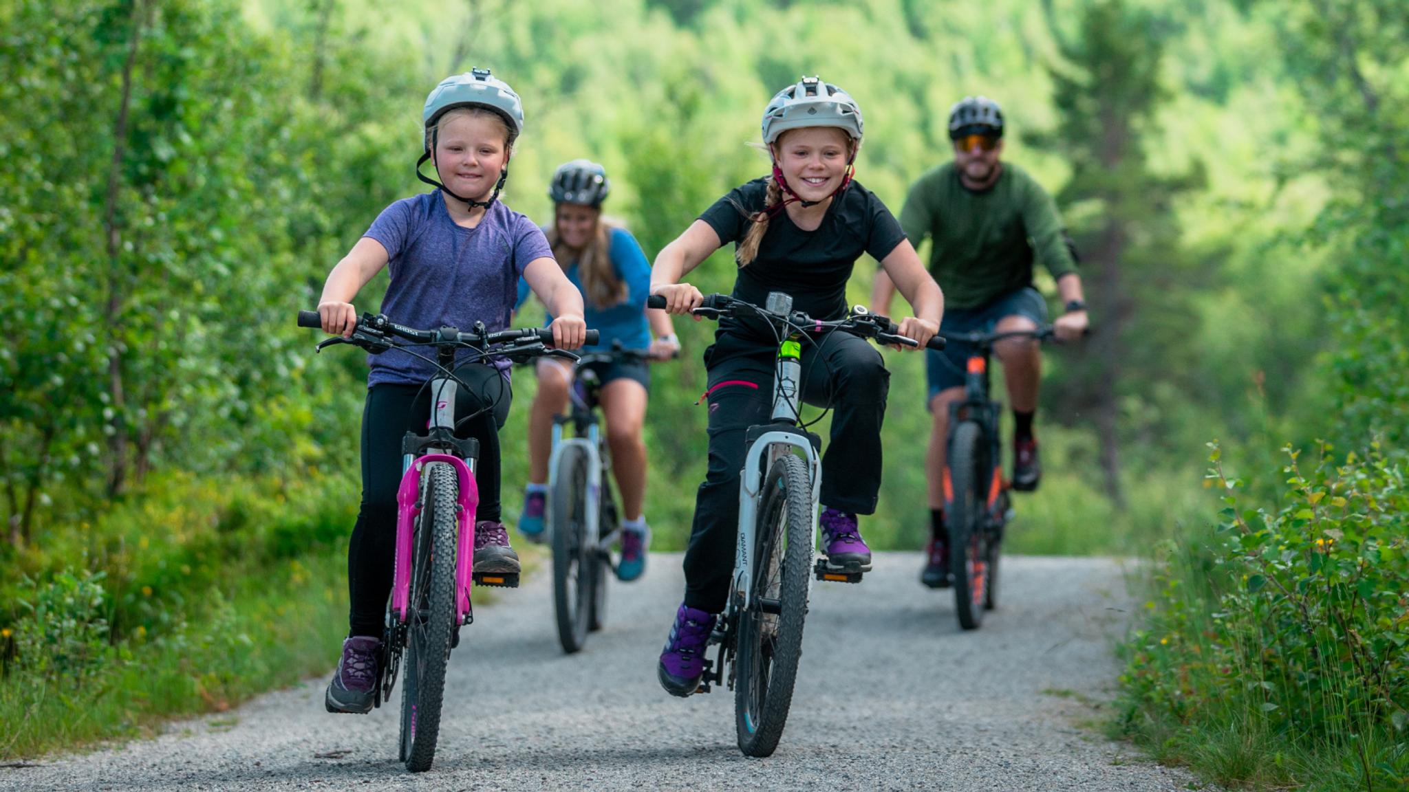 Family of four biking around Ustedalsfjorden in Geilo, Eastern Norway