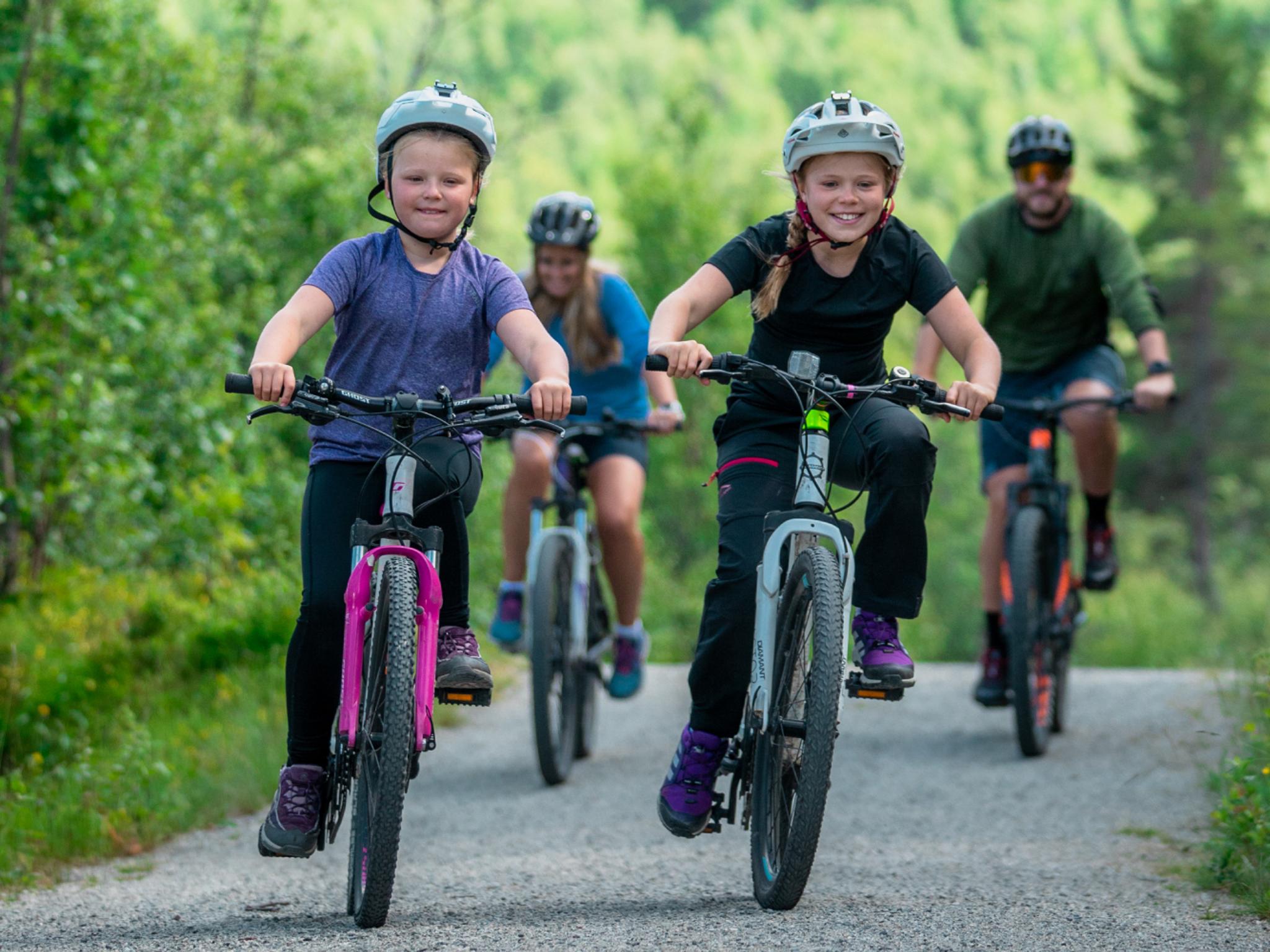 Family of four biking around Ustedalsfjorden in Geilo, Eastern Norway
