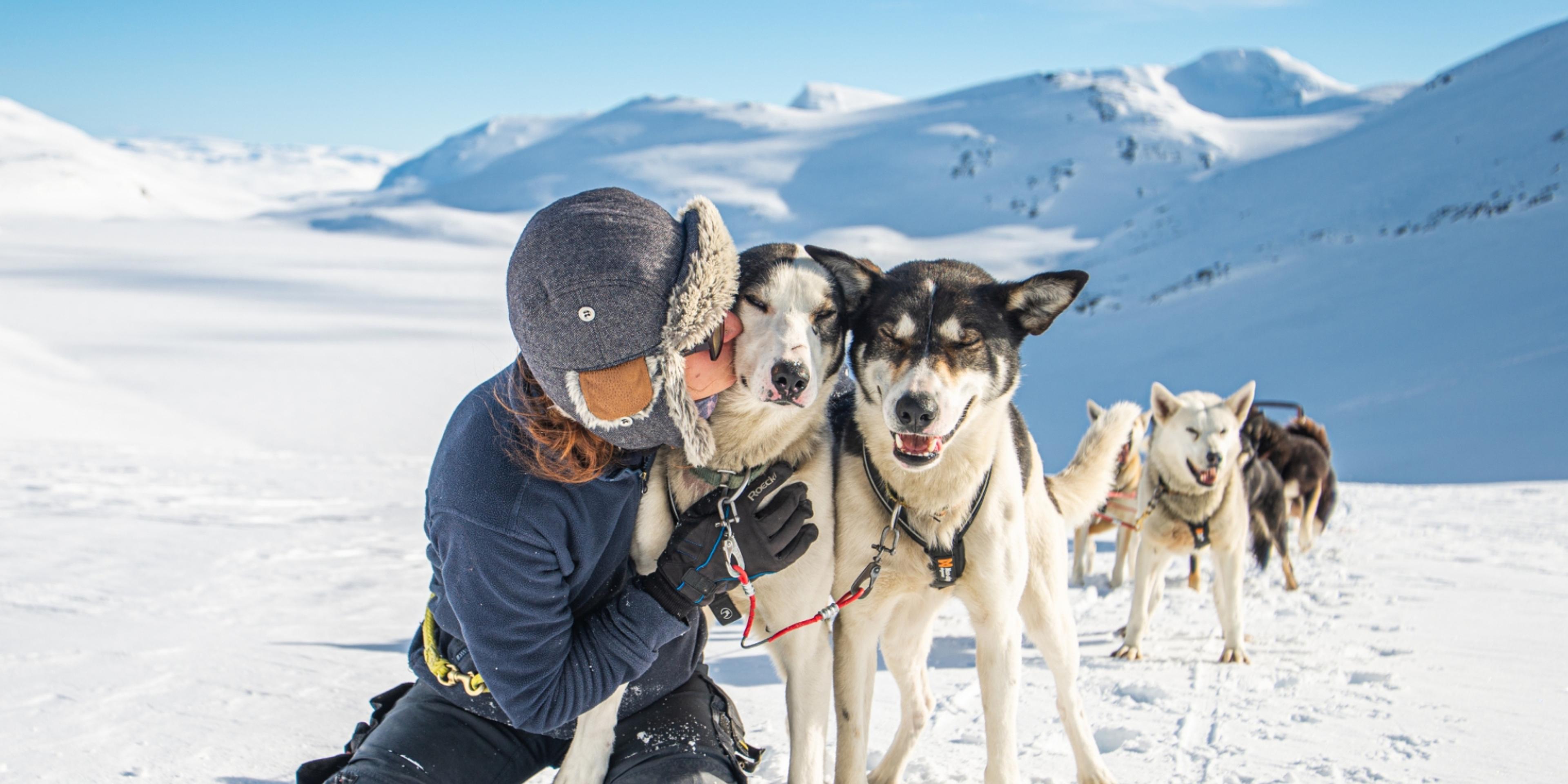 Girl with dog sled in Valdres