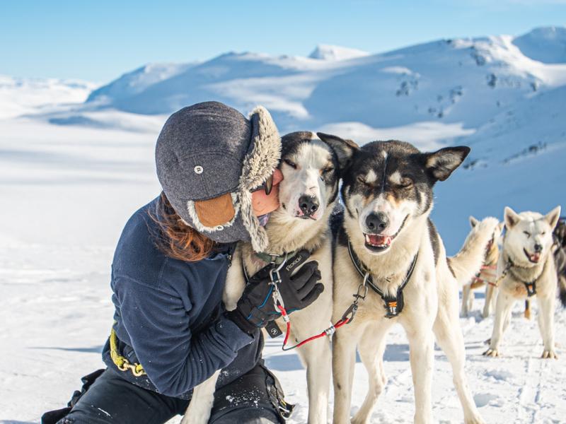 Girl with dog sled in Valdres