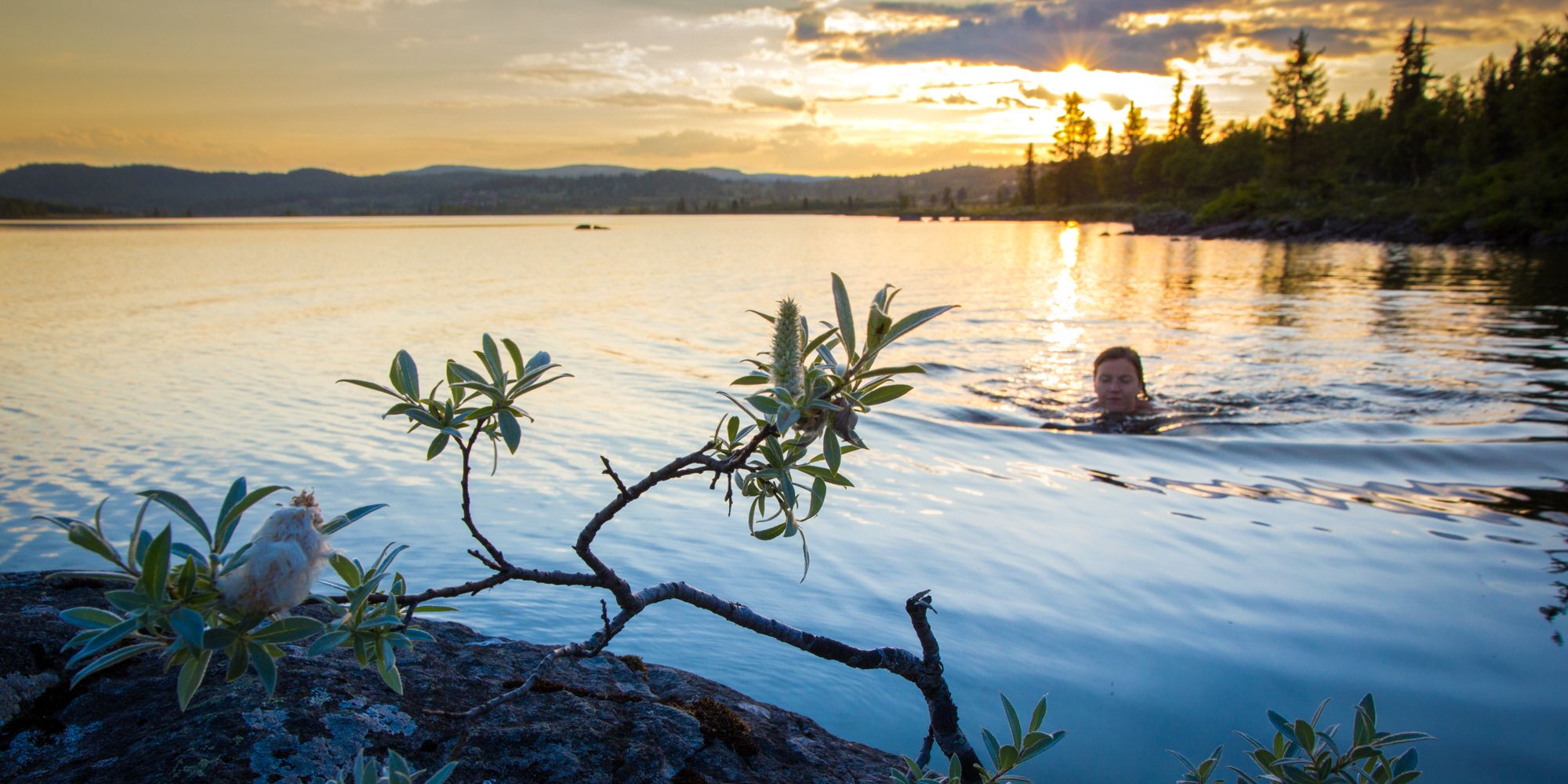 A woman swimming at Skålrudstølen, Eastern Norway.