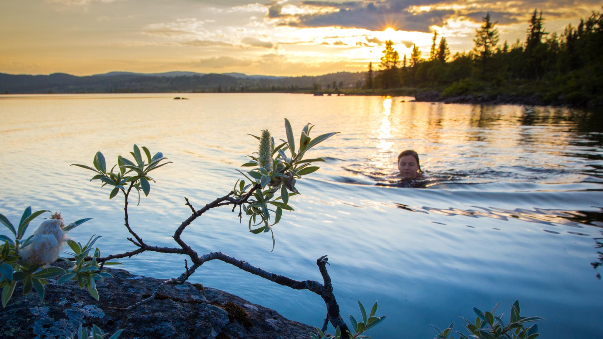 A woman swimming at Skålrudstølen, Eastern Norway.