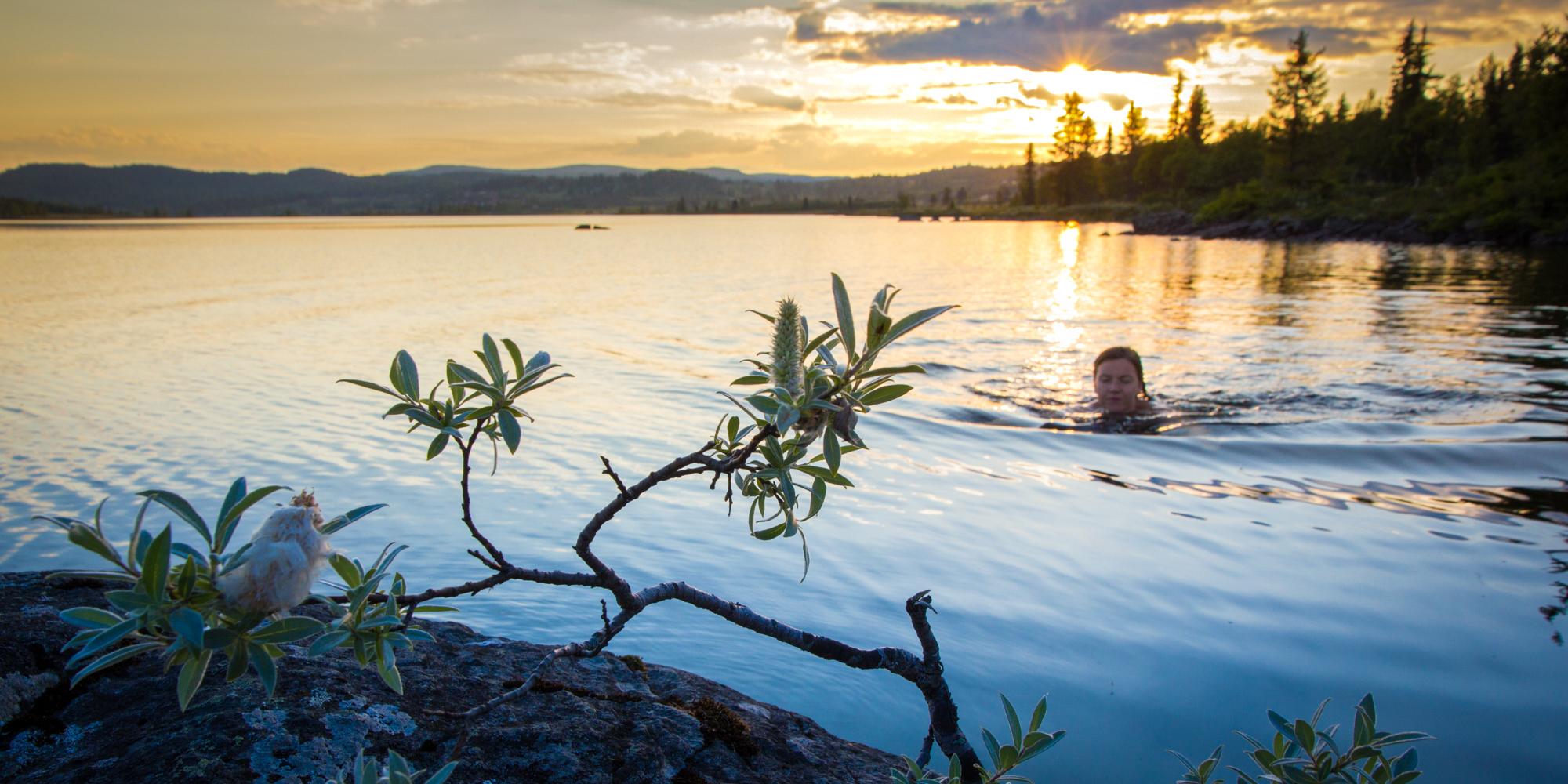 A woman swimming at Skålrudstølen, Eastern Norway.