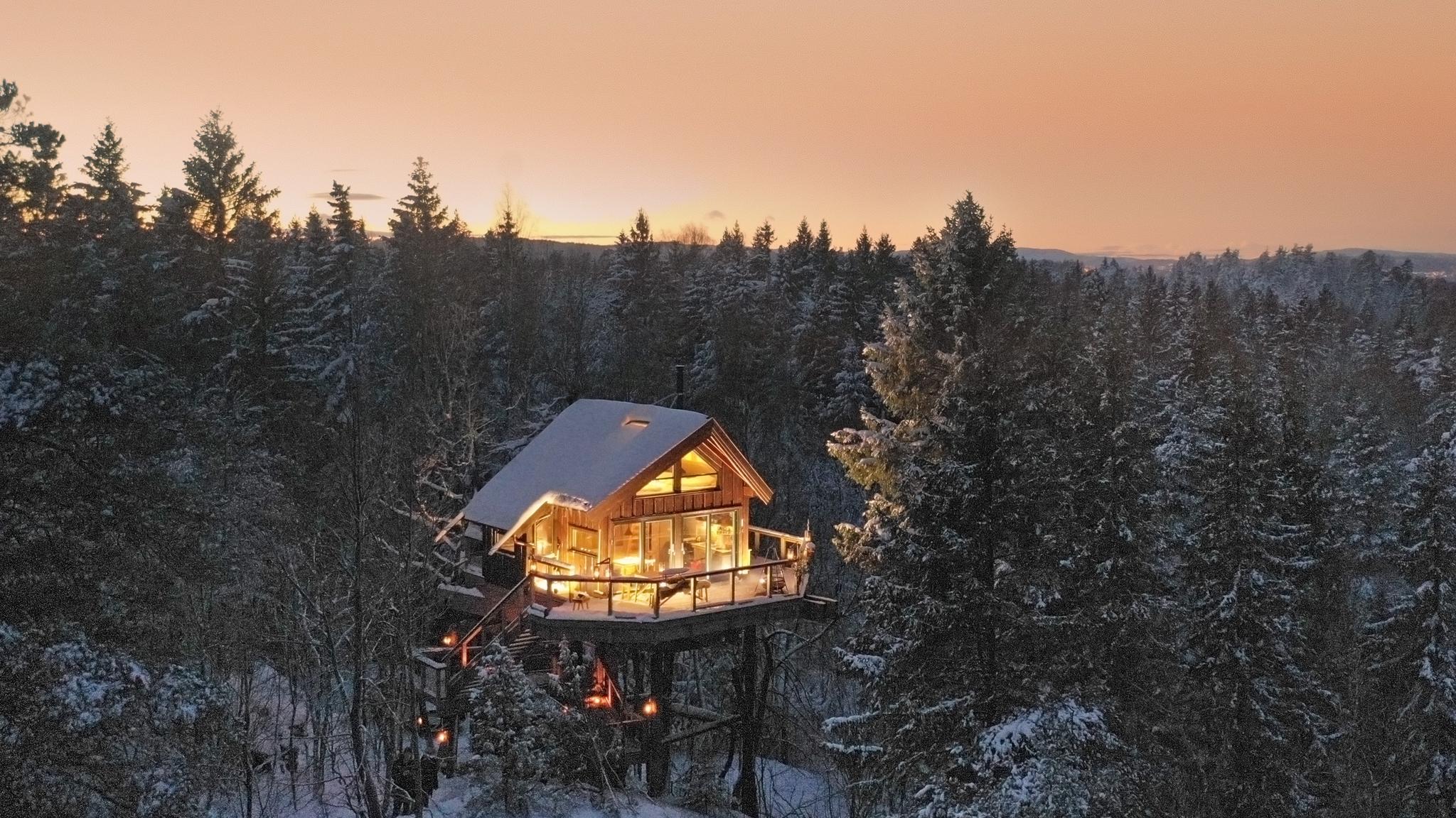 Treetop Cabins Oslofjord