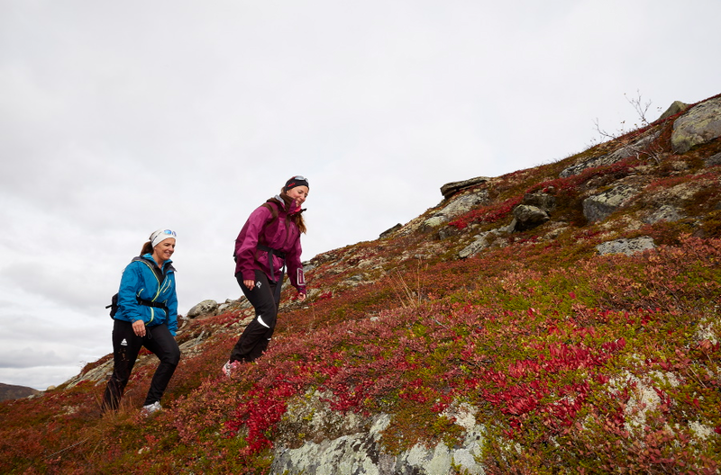 Two hikers in the mountain