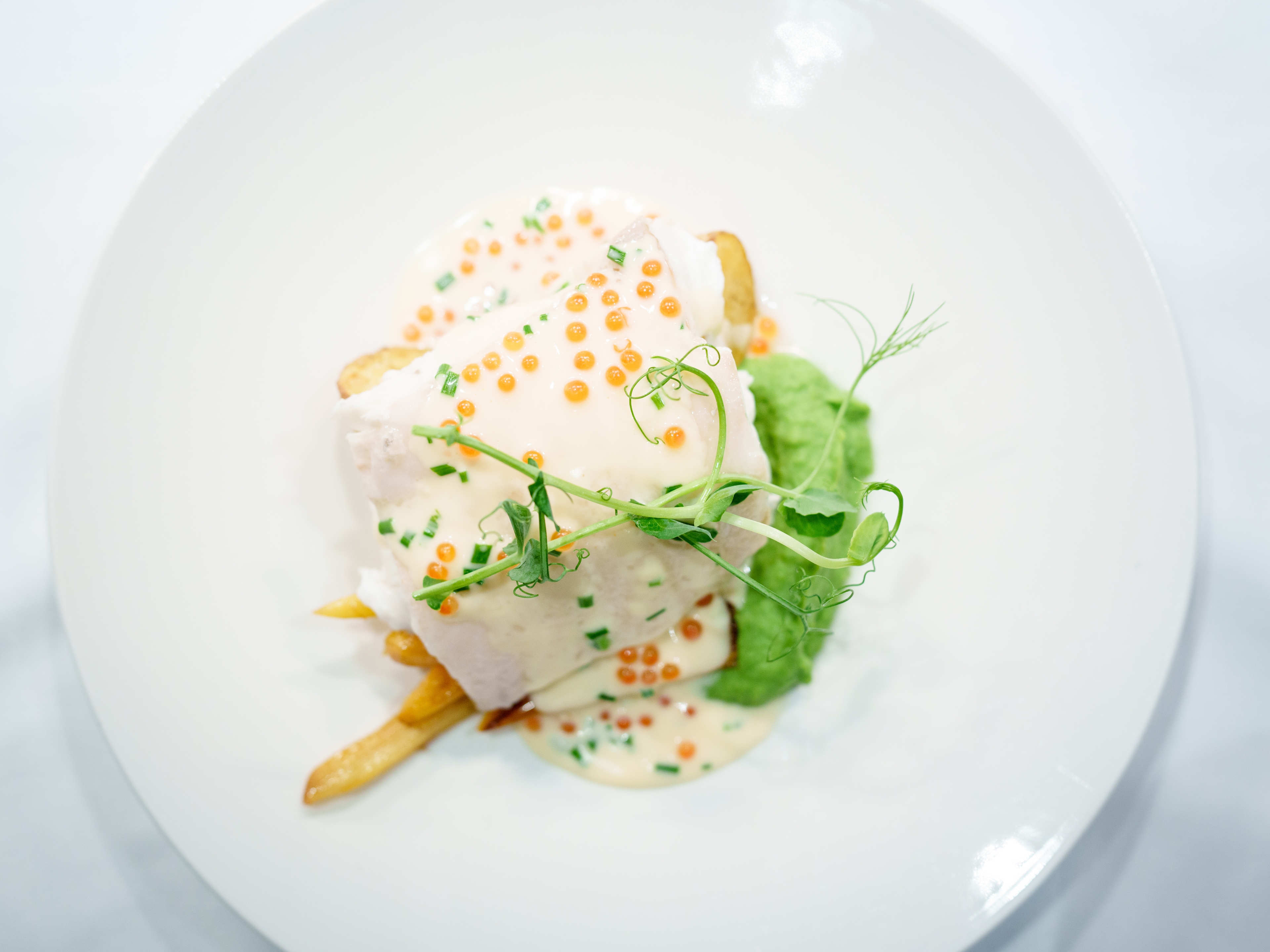 A plated dish of halibut, potatoes, pea puree and a white sauce.