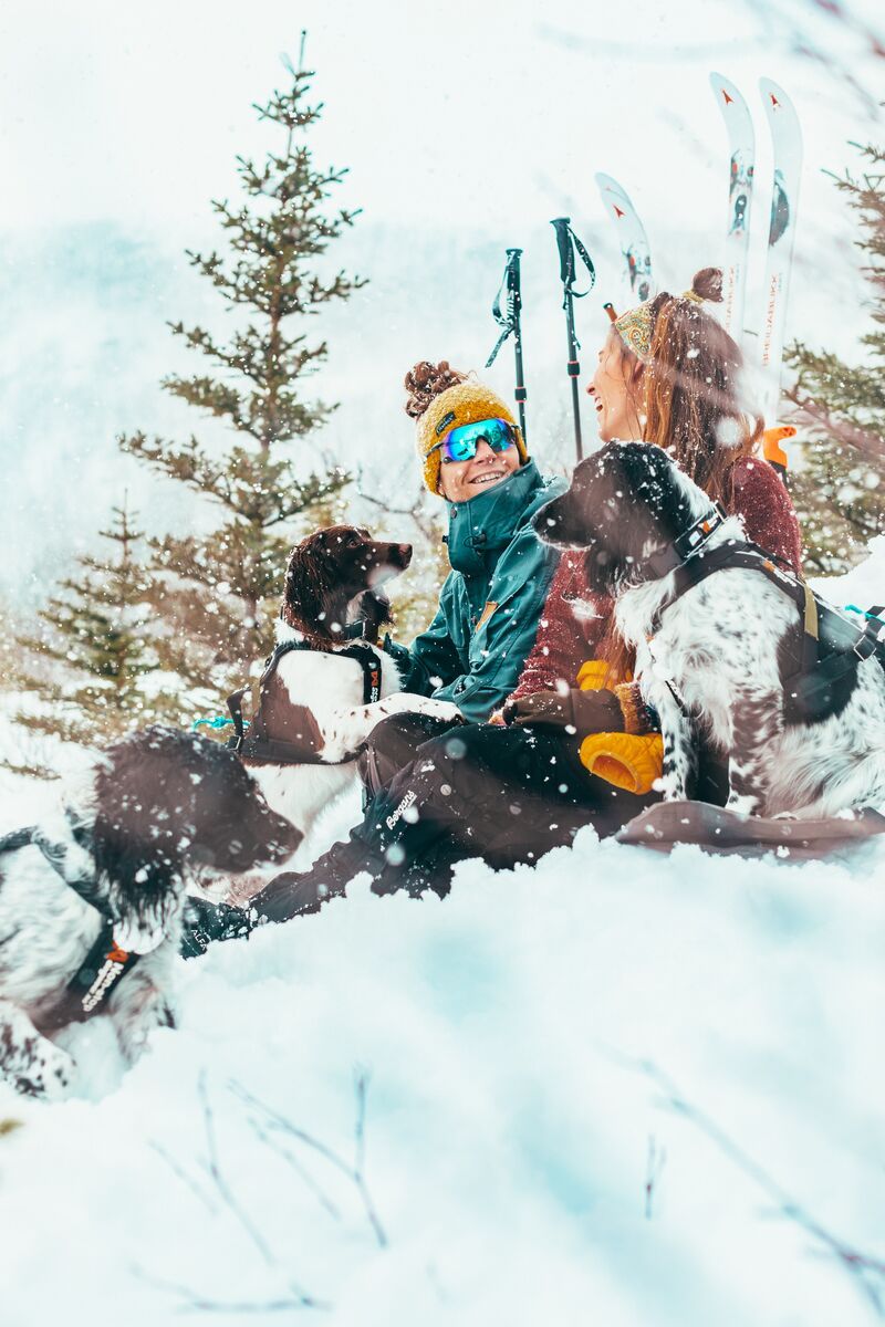 Two people and three dogs chilling in the snow in Lofoten, Nothern Norway