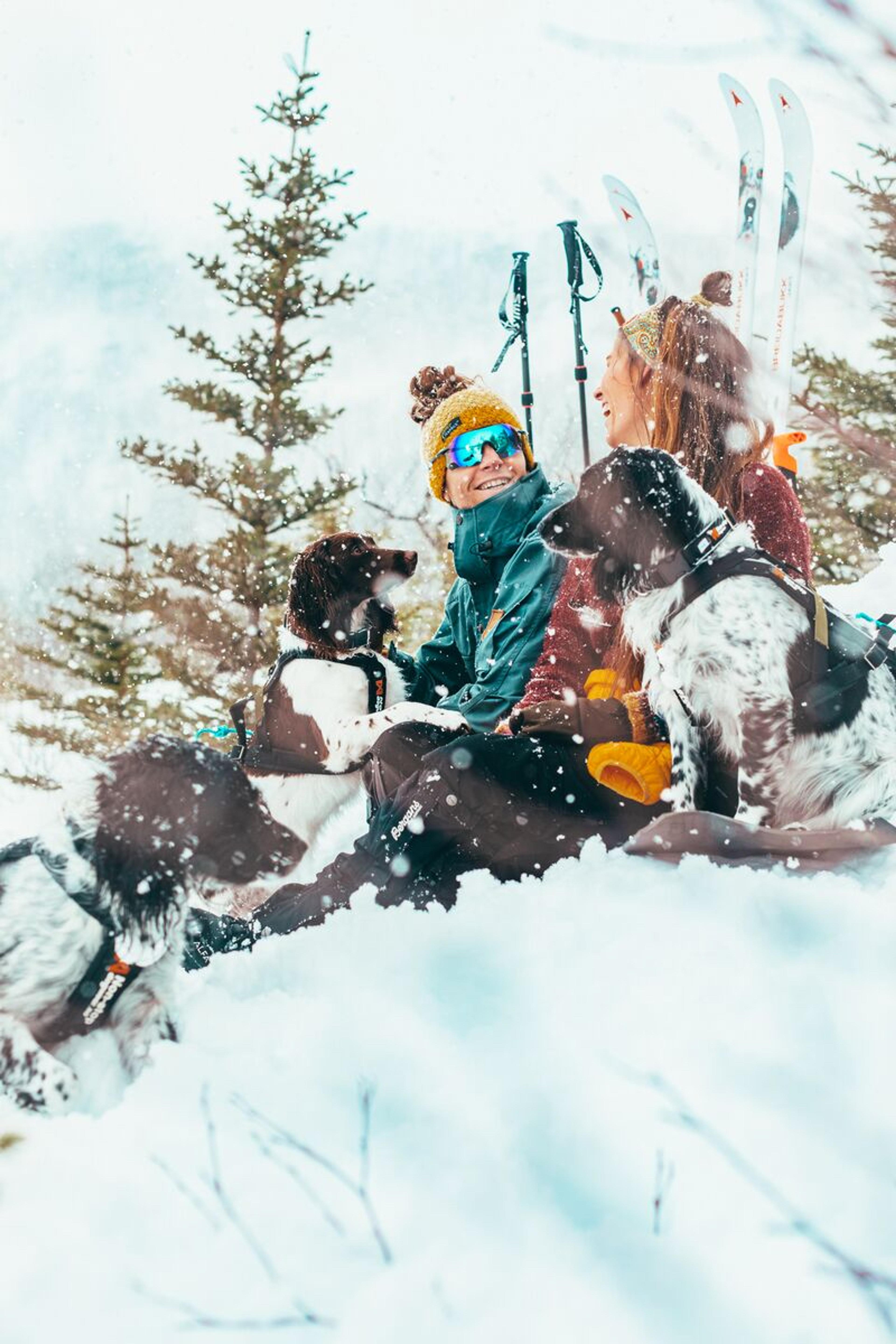 Two people and three dogs chilling in the snow in Lofoten, Nothern Norway