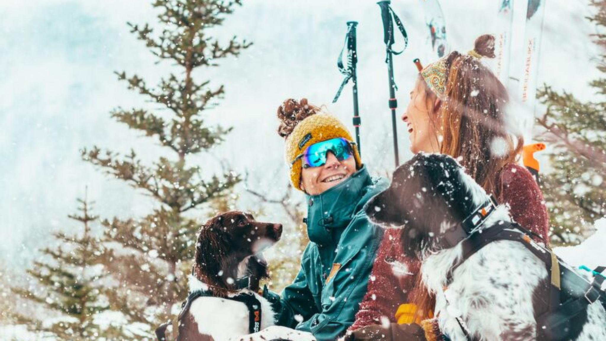 Two people and three dogs chilling in the snow in Lofoten, Nothern Norway