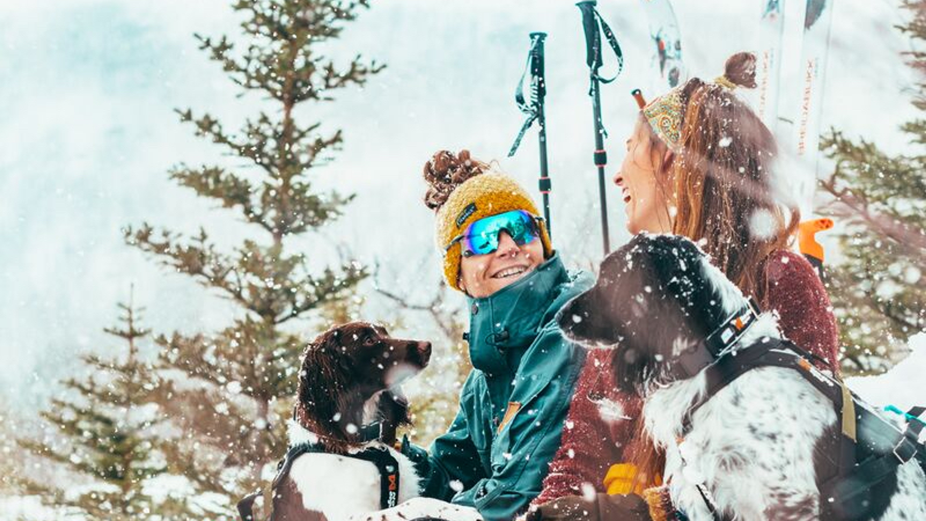 Two people and three dogs chilling in the snow in Lofoten, Nothern Norway