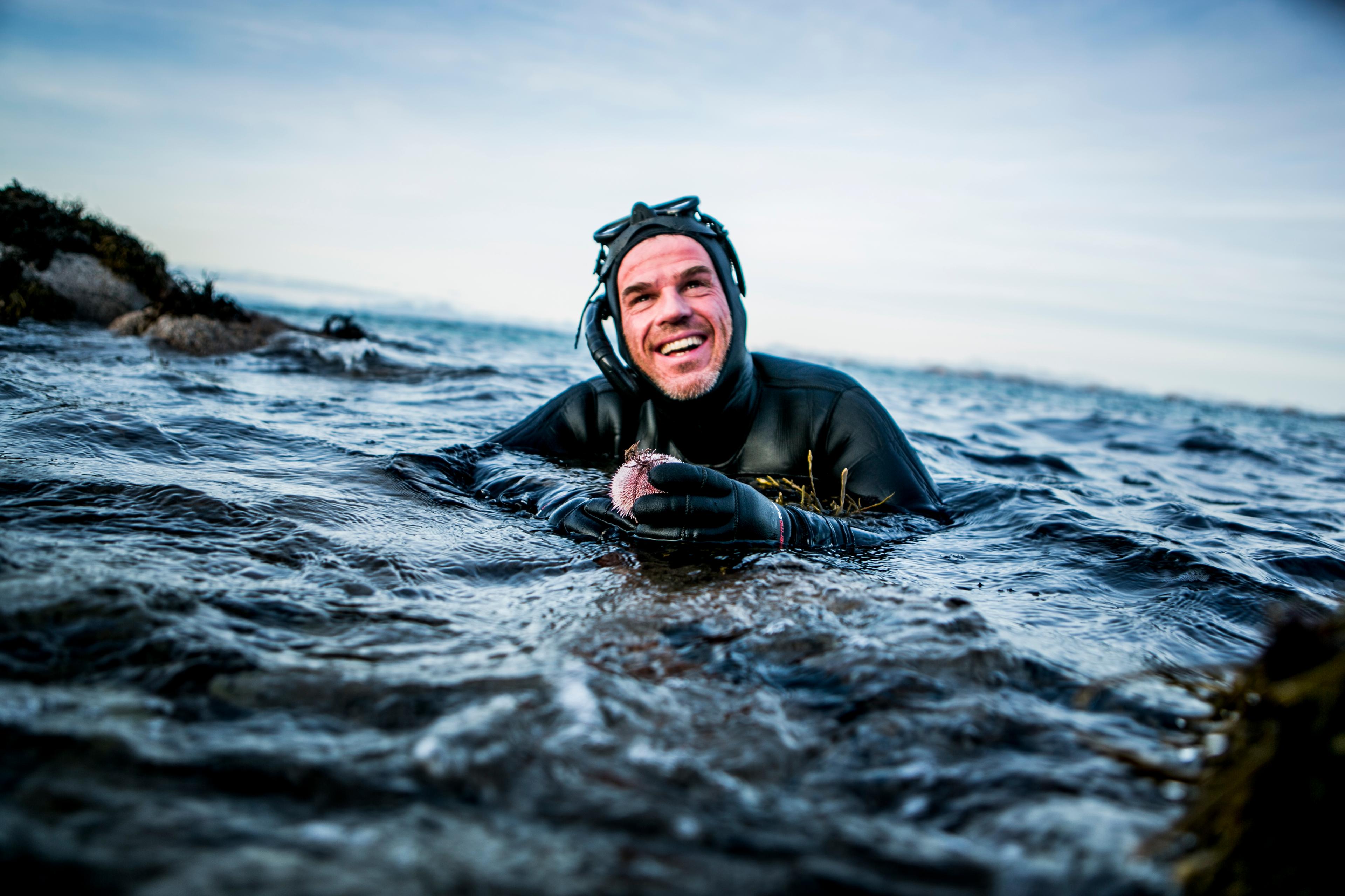 En person dykker etter kråkeboller i Steigen i Nordland, Nord-Norge