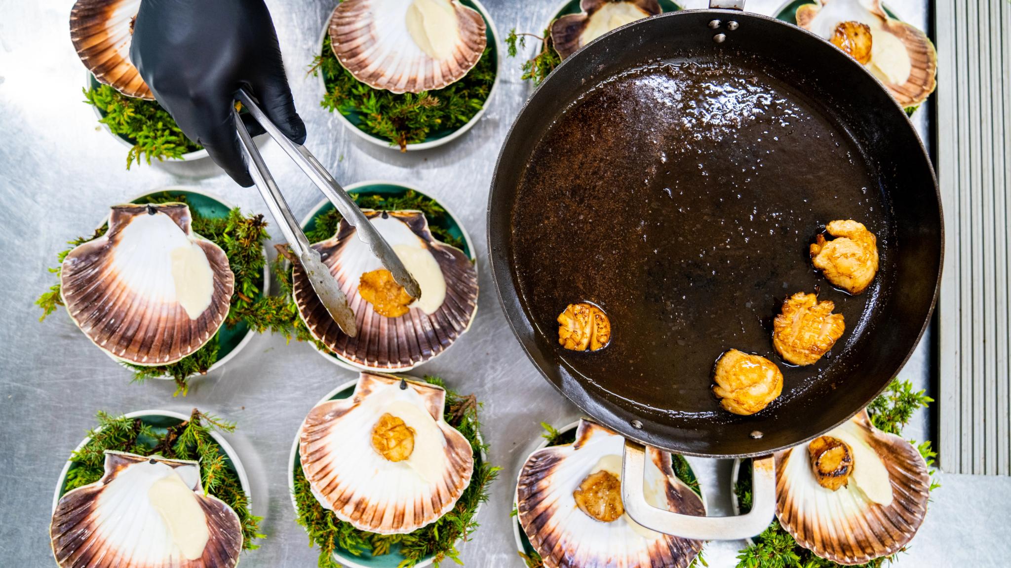 Plating scallops at Ansnes Brygger restaurant on Hitra in Trøndelag