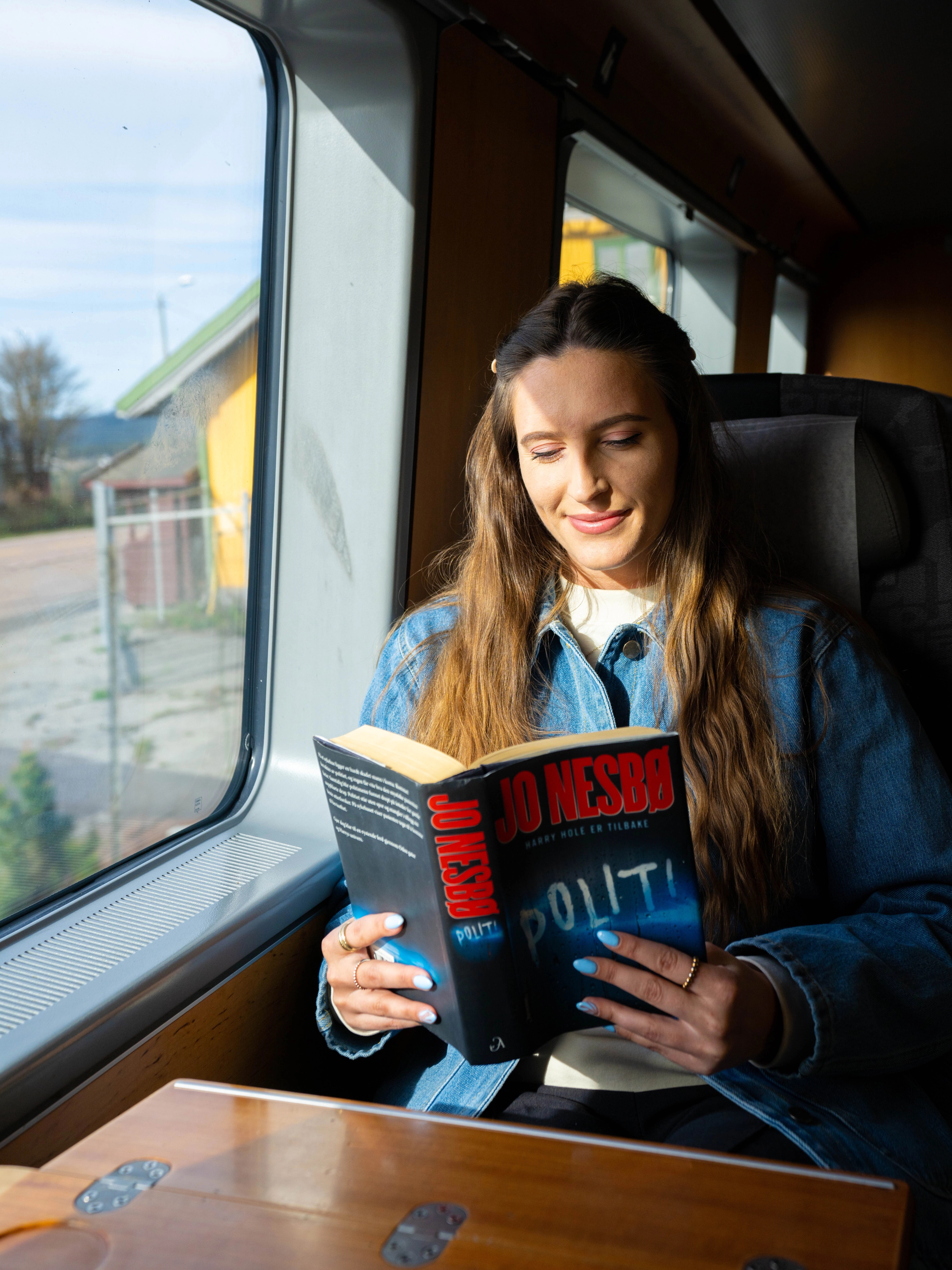 A woman reading on the train, the Sørland line, from Oslo to Stavanger