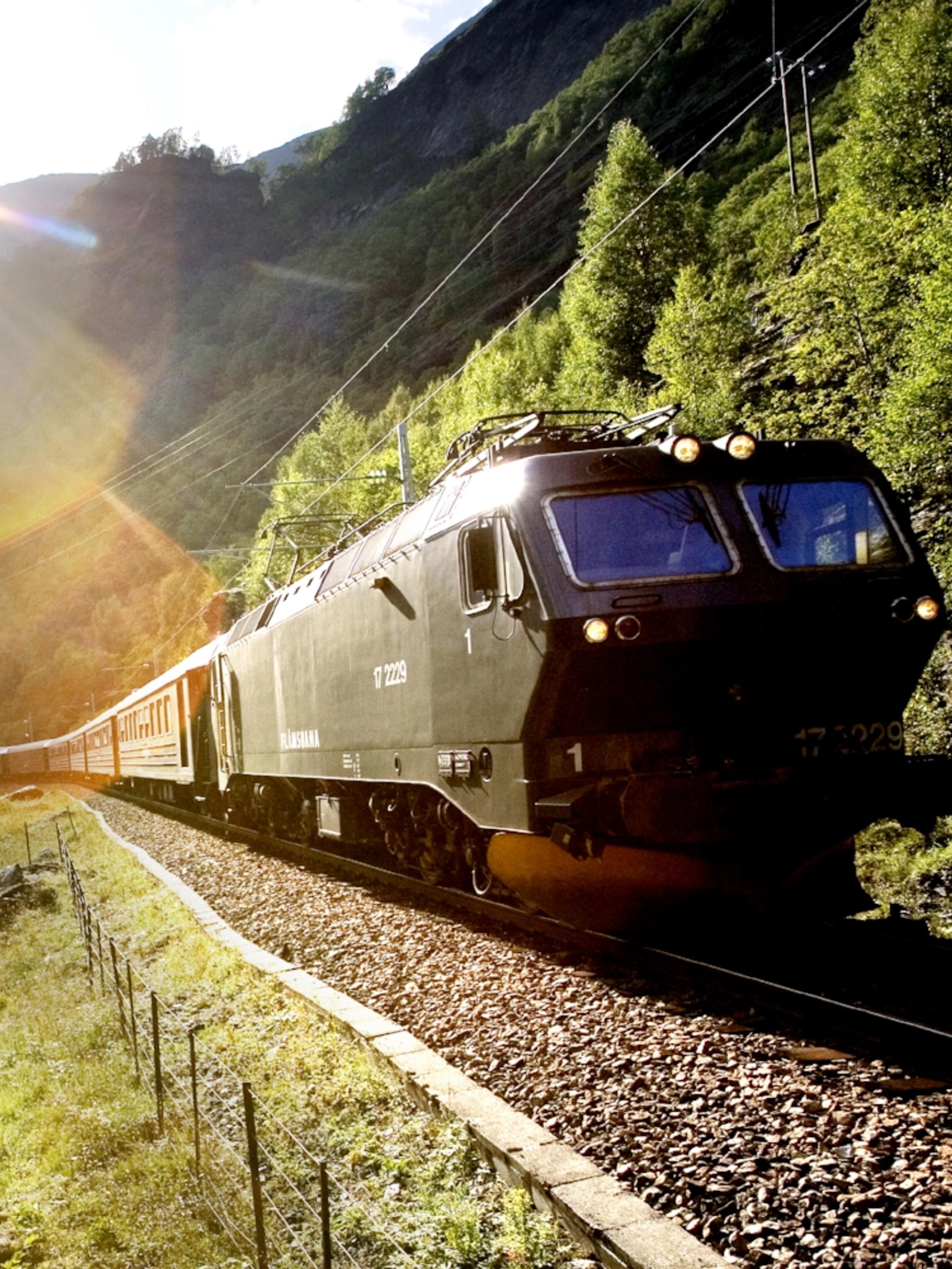 A train passing through a scenic valley in Flåm