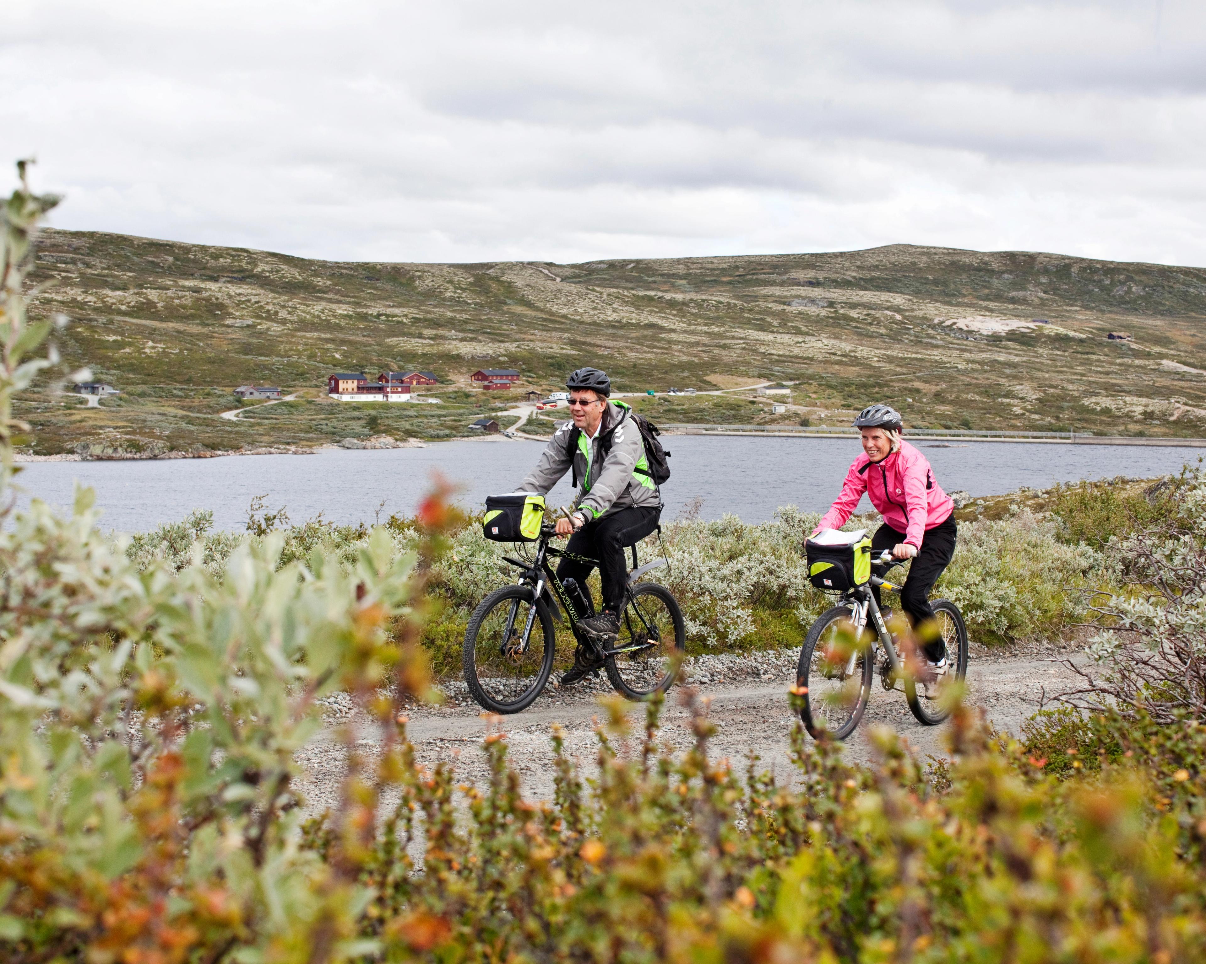 A couple is biking at the Hardangervidda mountain plateau