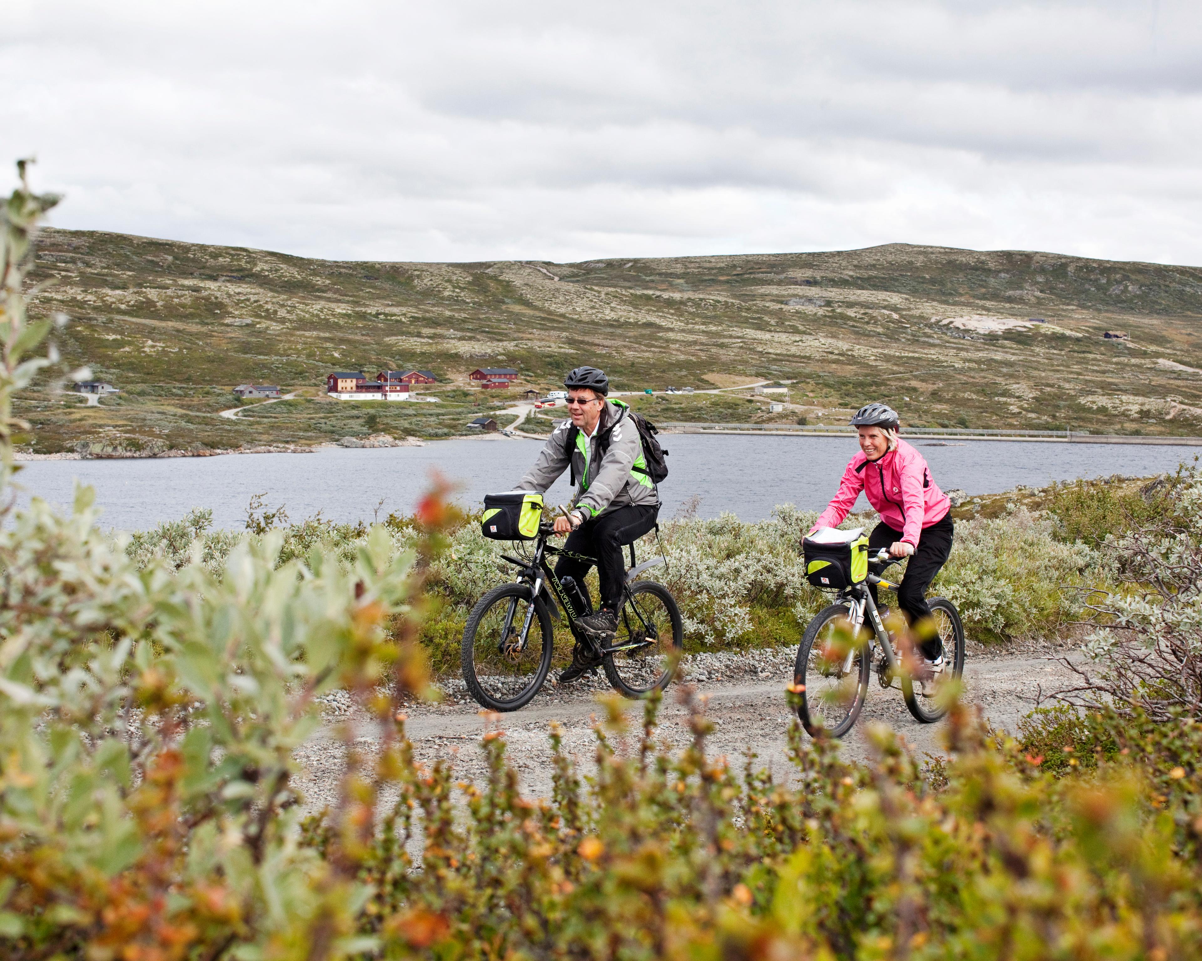 A couple is biking at the Hardangervidda mountain plateau
