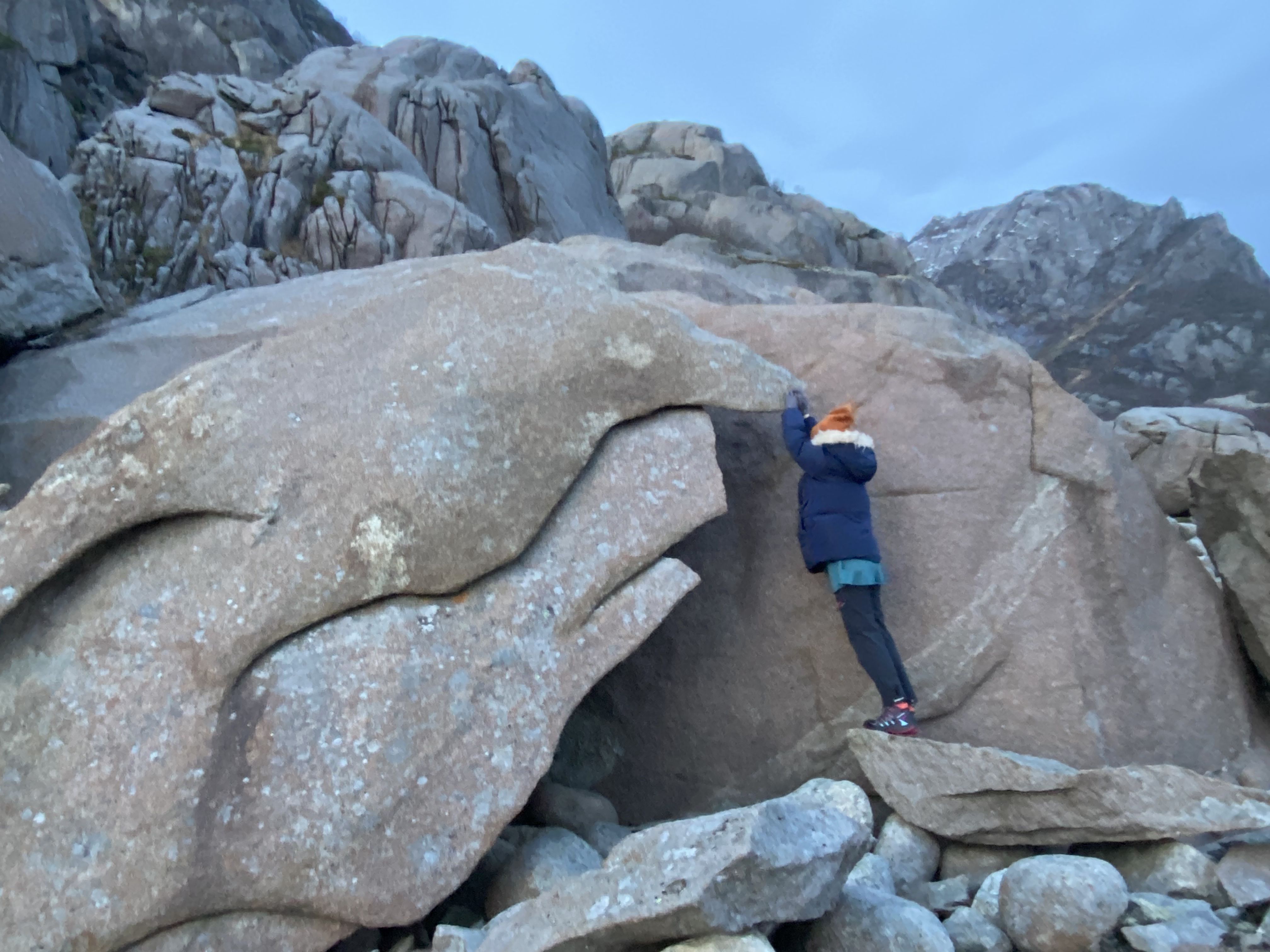 A stone that looks like a troll