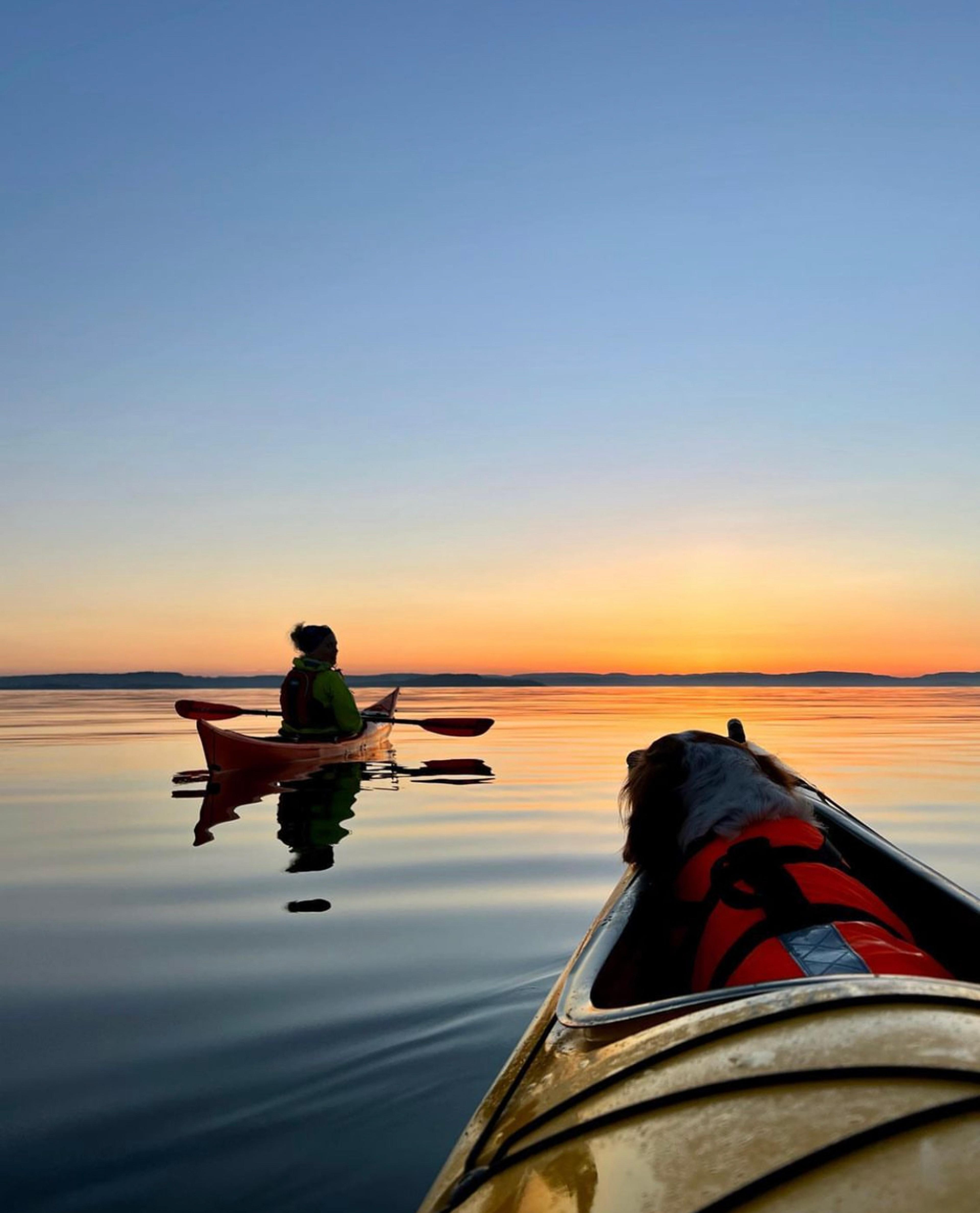 A woman and a dog kayaking in Lillesand, Southern Norway, during sunset