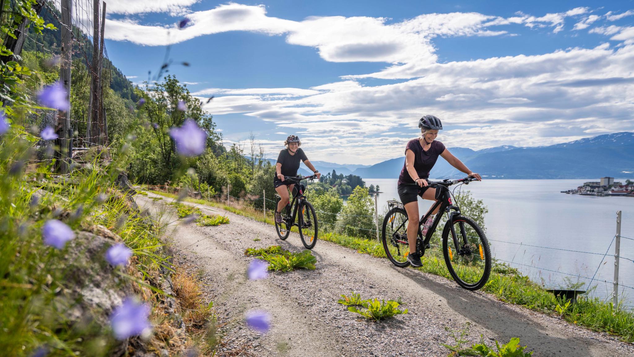 To personer sykler langs fjorden om sommeren i Norge.
