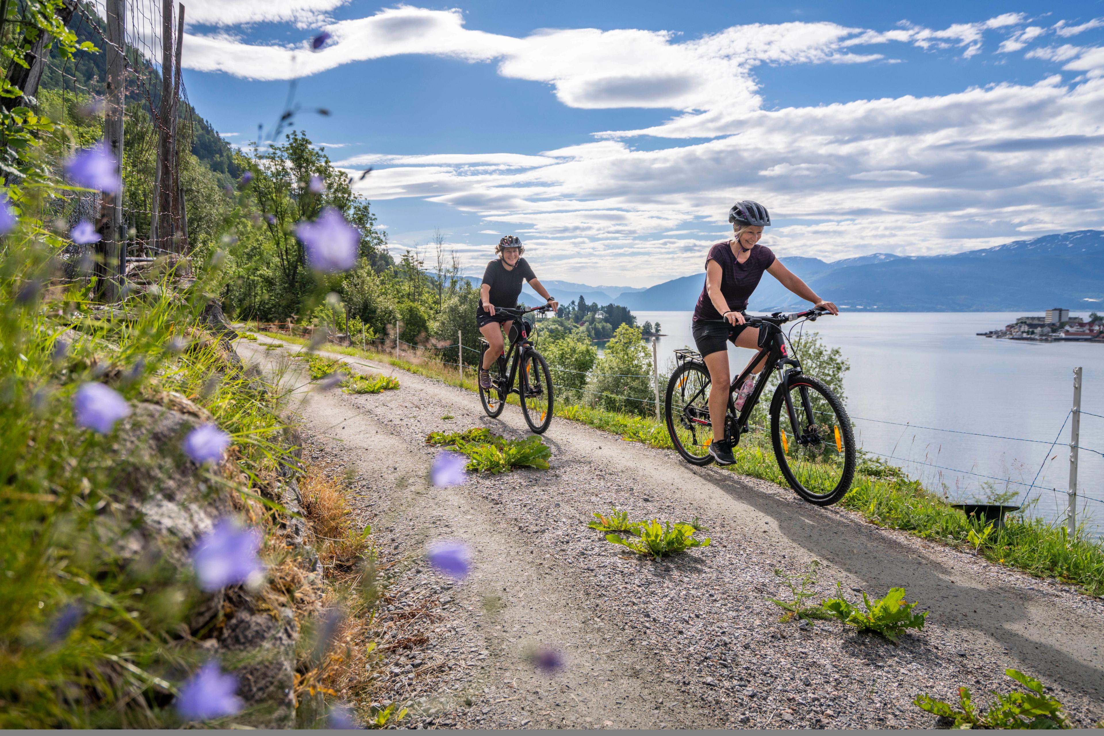 Two persons cycling by the fjord in summer, Norway.