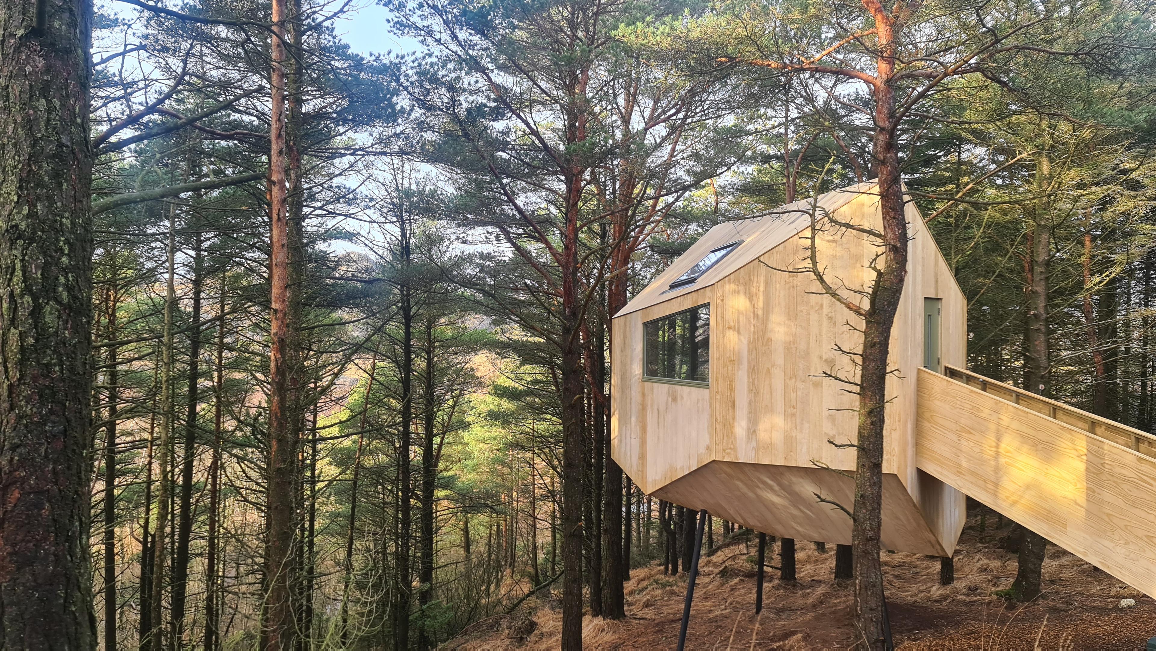 Trekronå treetop cabin in Ogna