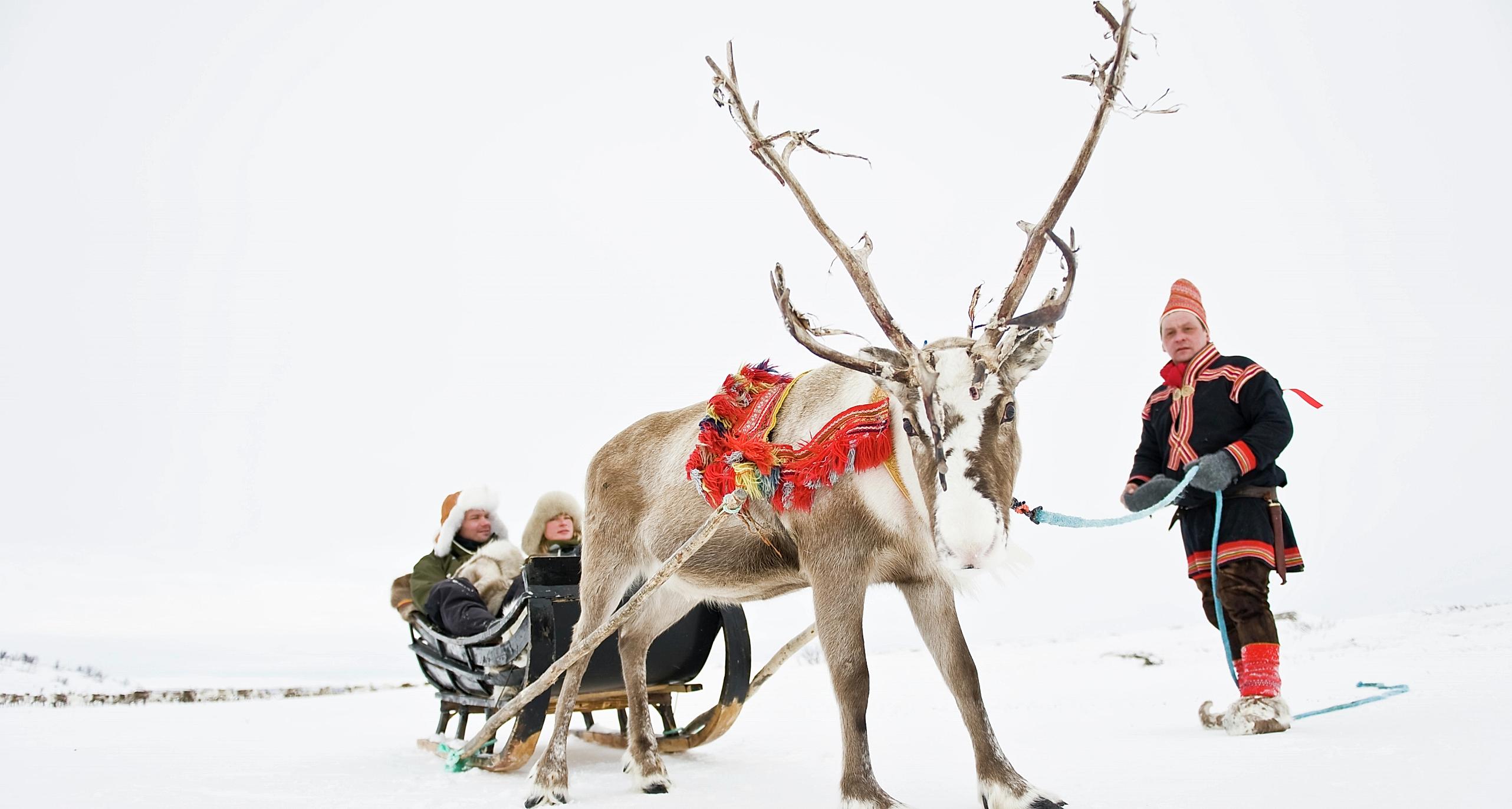 A couple in a sleigh pulled by a reindeer, held by a Sami man