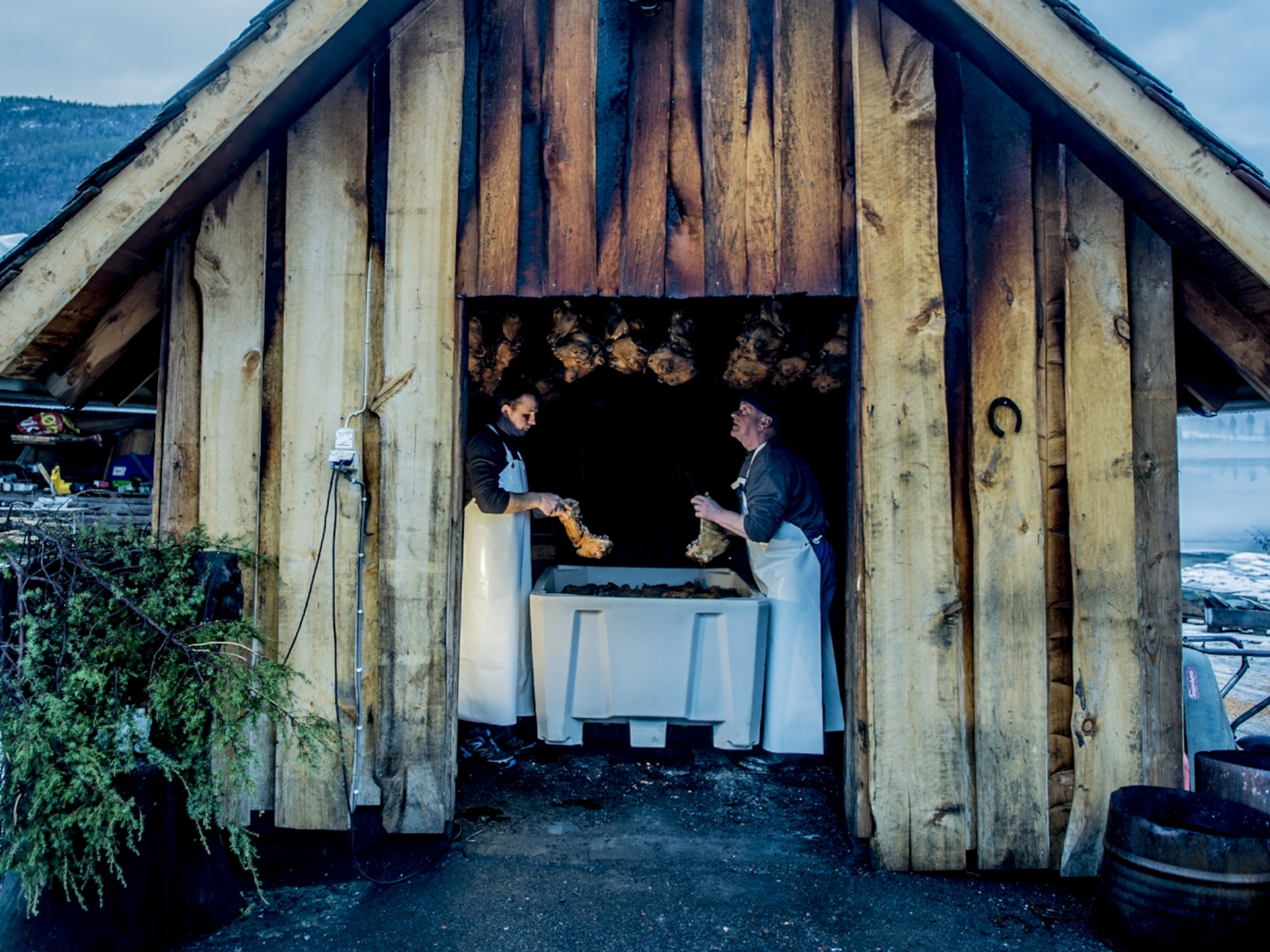 Smalahovetunet i Voss på Vestlandet