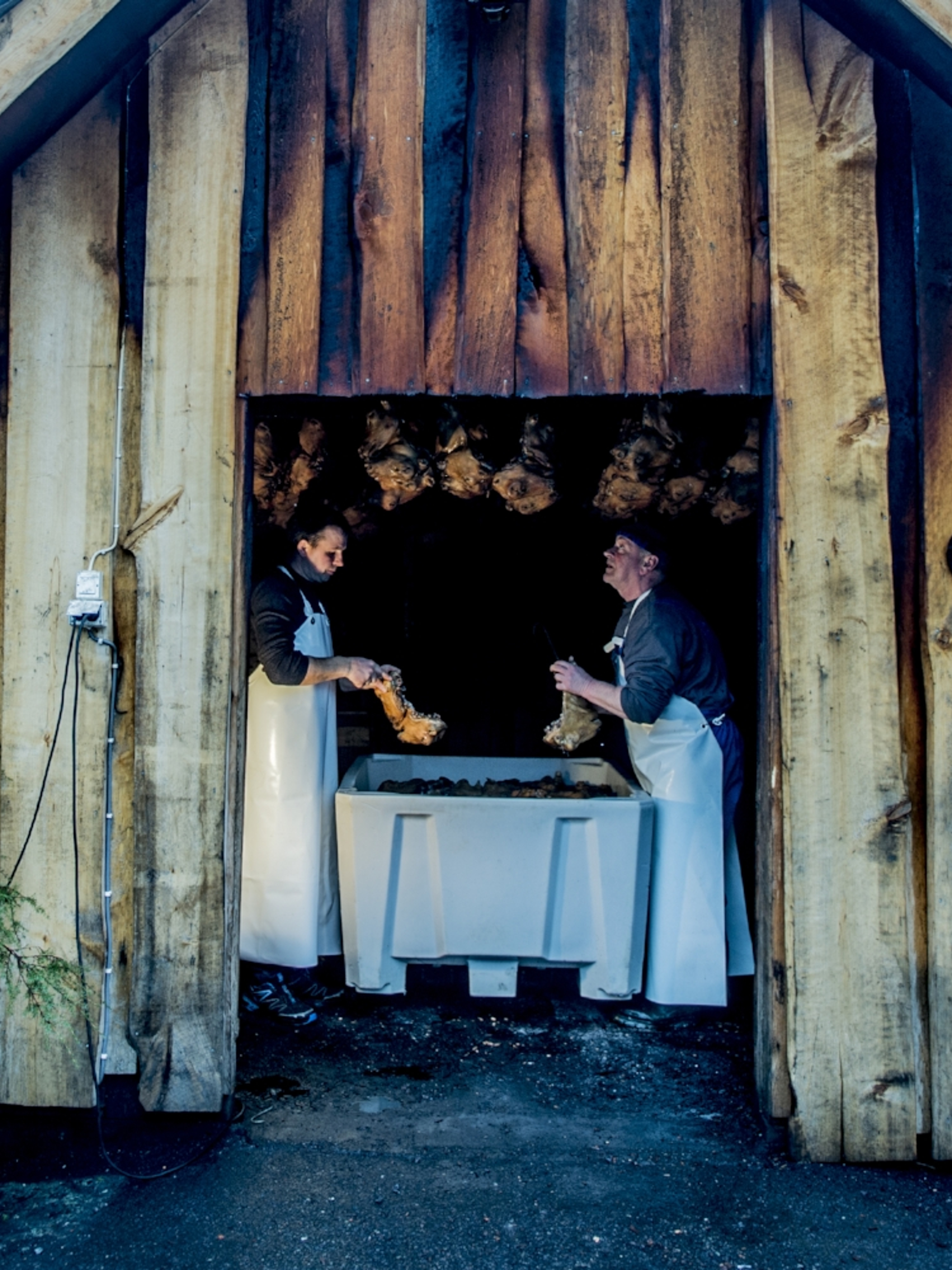 People making smalahove (sheep's head) at Smalahovetunet in Voss in Fjord Norway